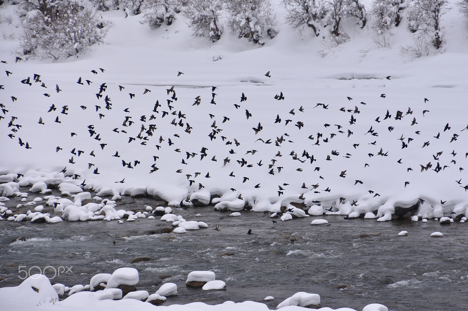 Nikon D7200 sample photo. ..... a river and her story ......... photography