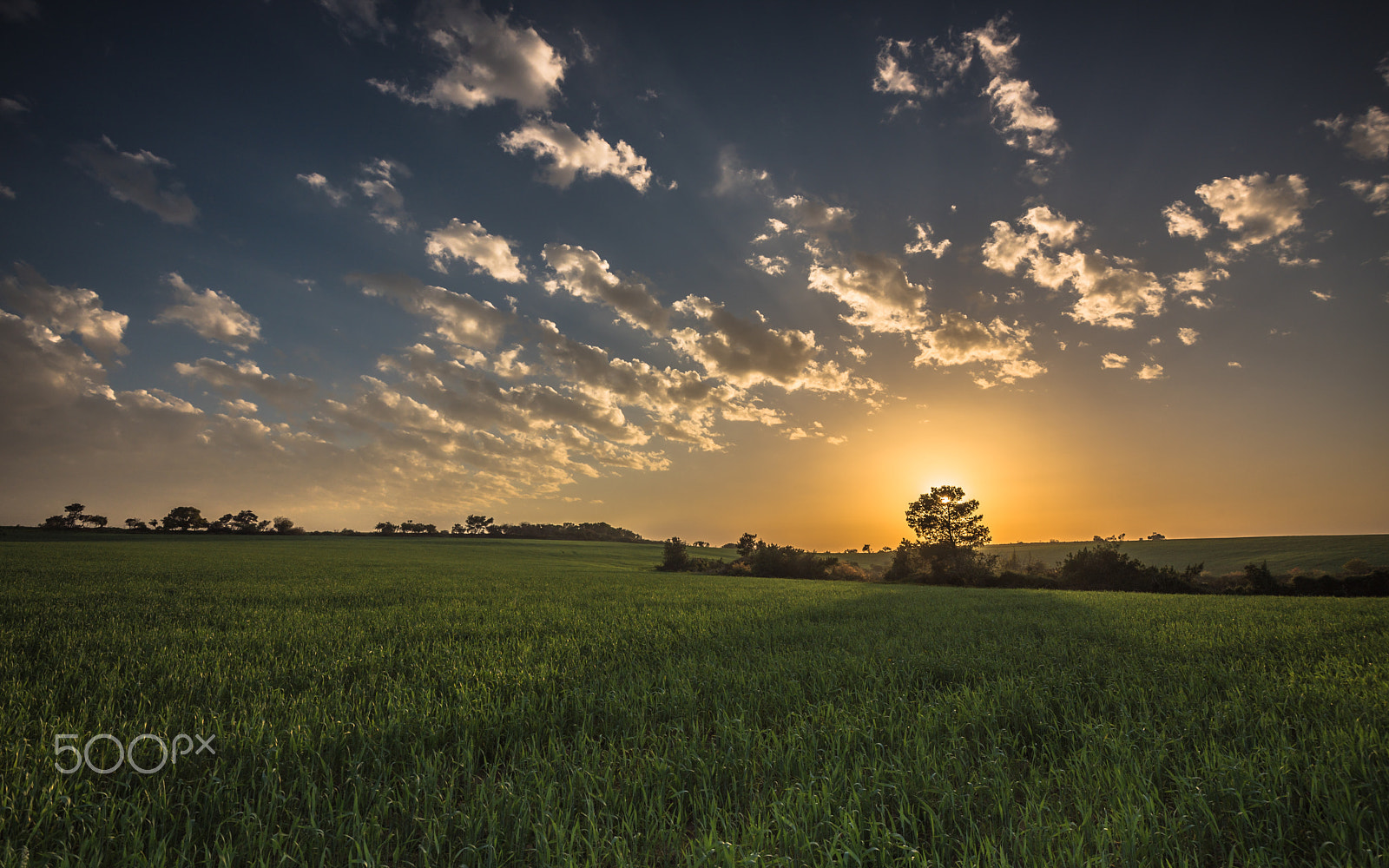 Nikon AF-S Nikkor 16-35mm F4G ED VR sample photo. Light of sun photography