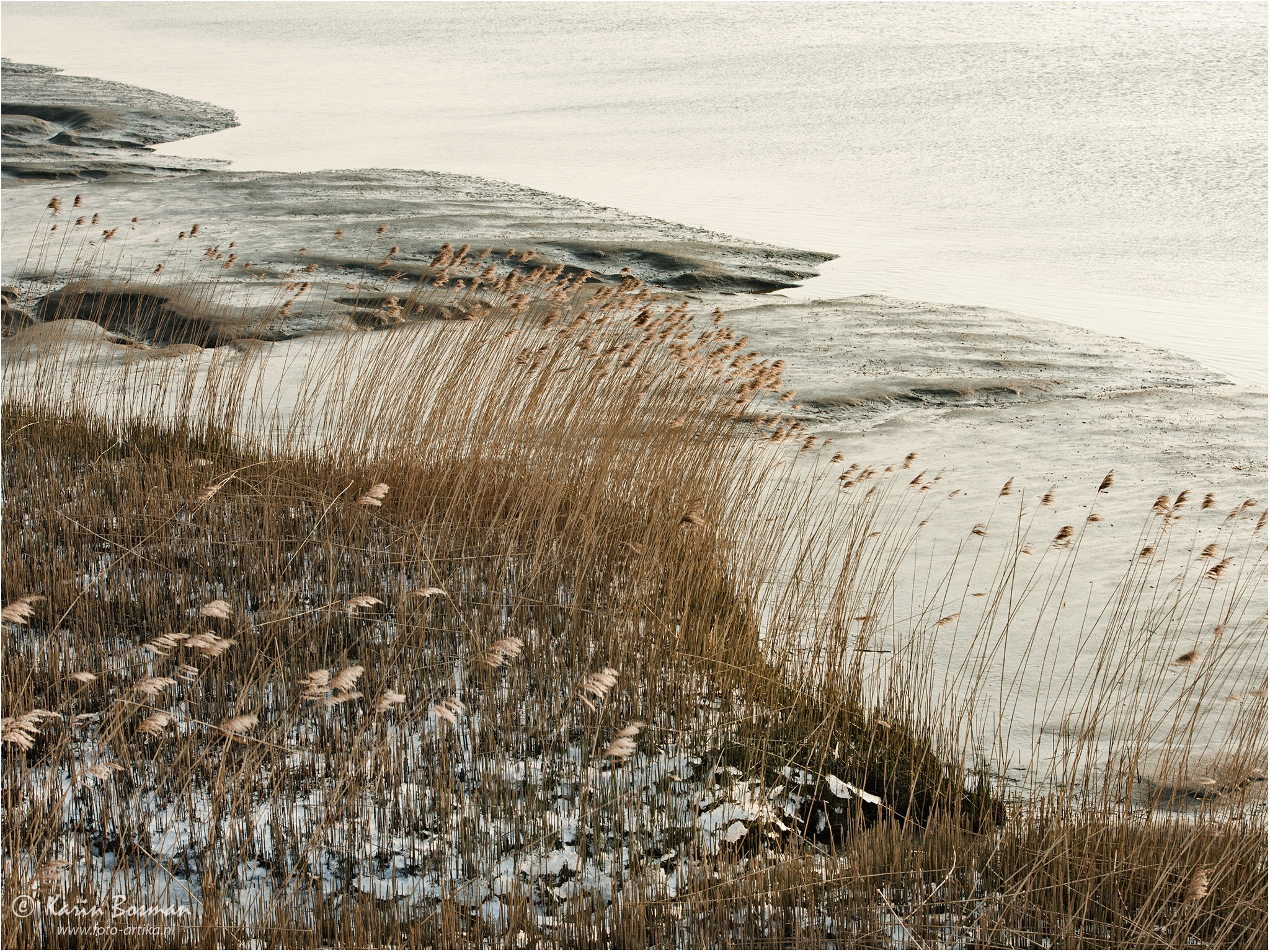 Nikon D800 sample photo. Low tide structures from de coast of the wadden sea, holland. photography