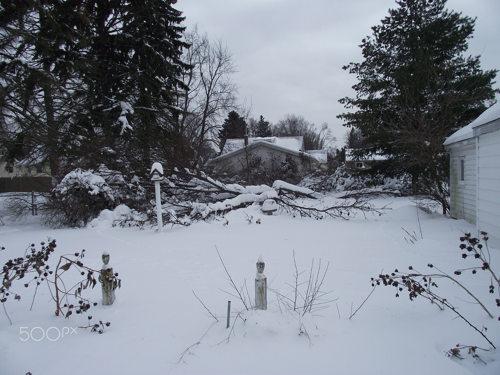 FujiFilm FinePix S1800 (FinePix S1880) sample photo. Nature's winter fury photography