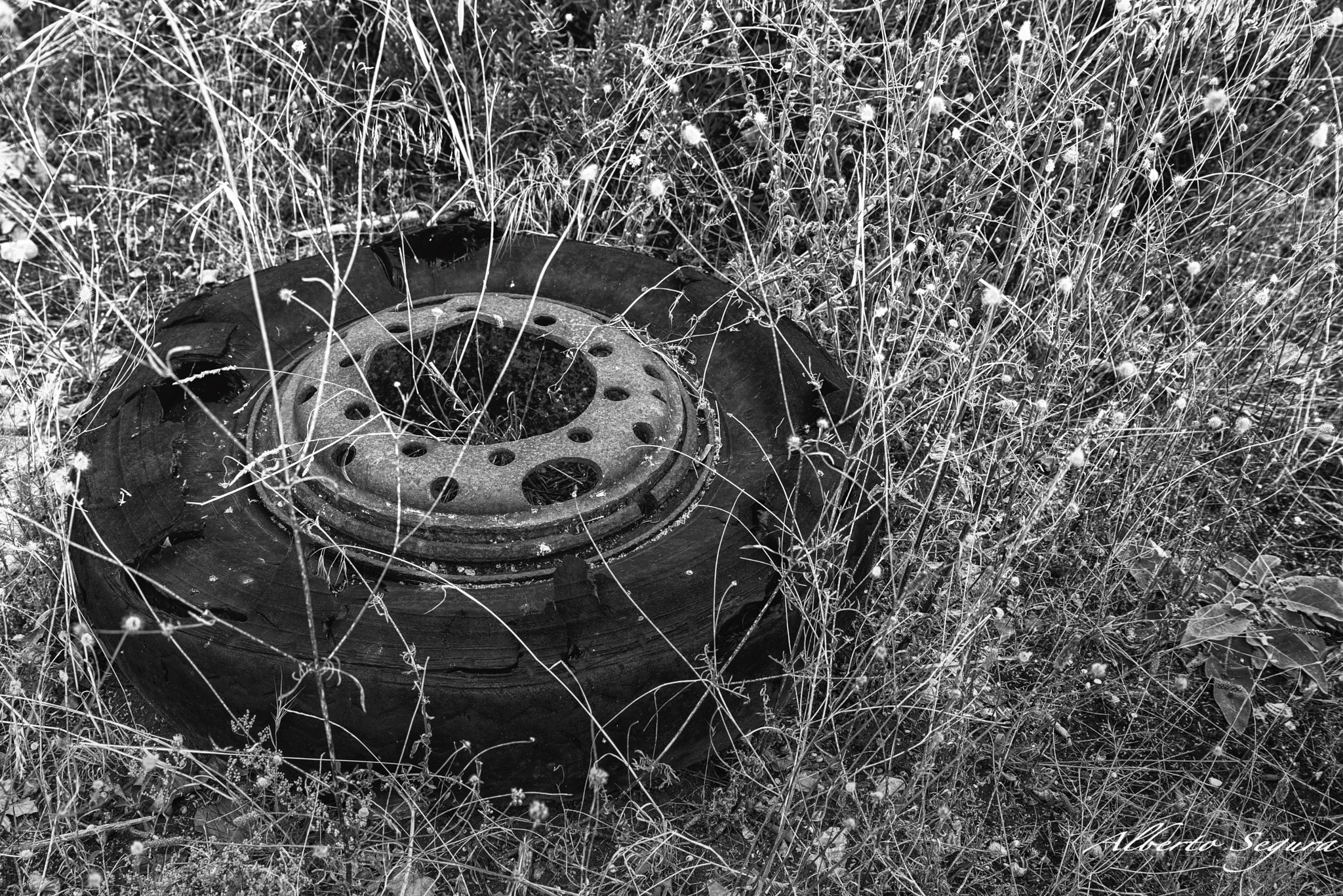 Nikon D610 sample photo. Old tire truck photography