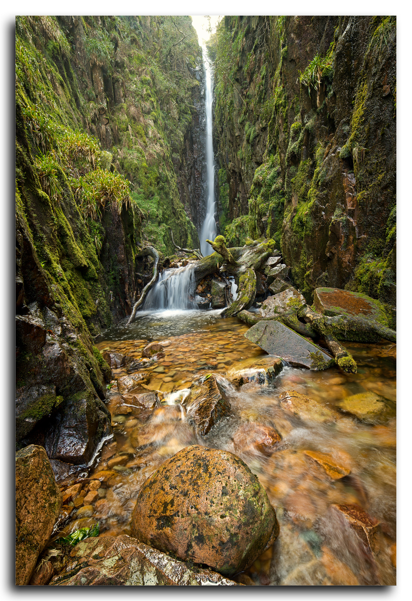 Samyang 14mm F2.8 ED AS IF UMC sample photo. Scale force 2. photography