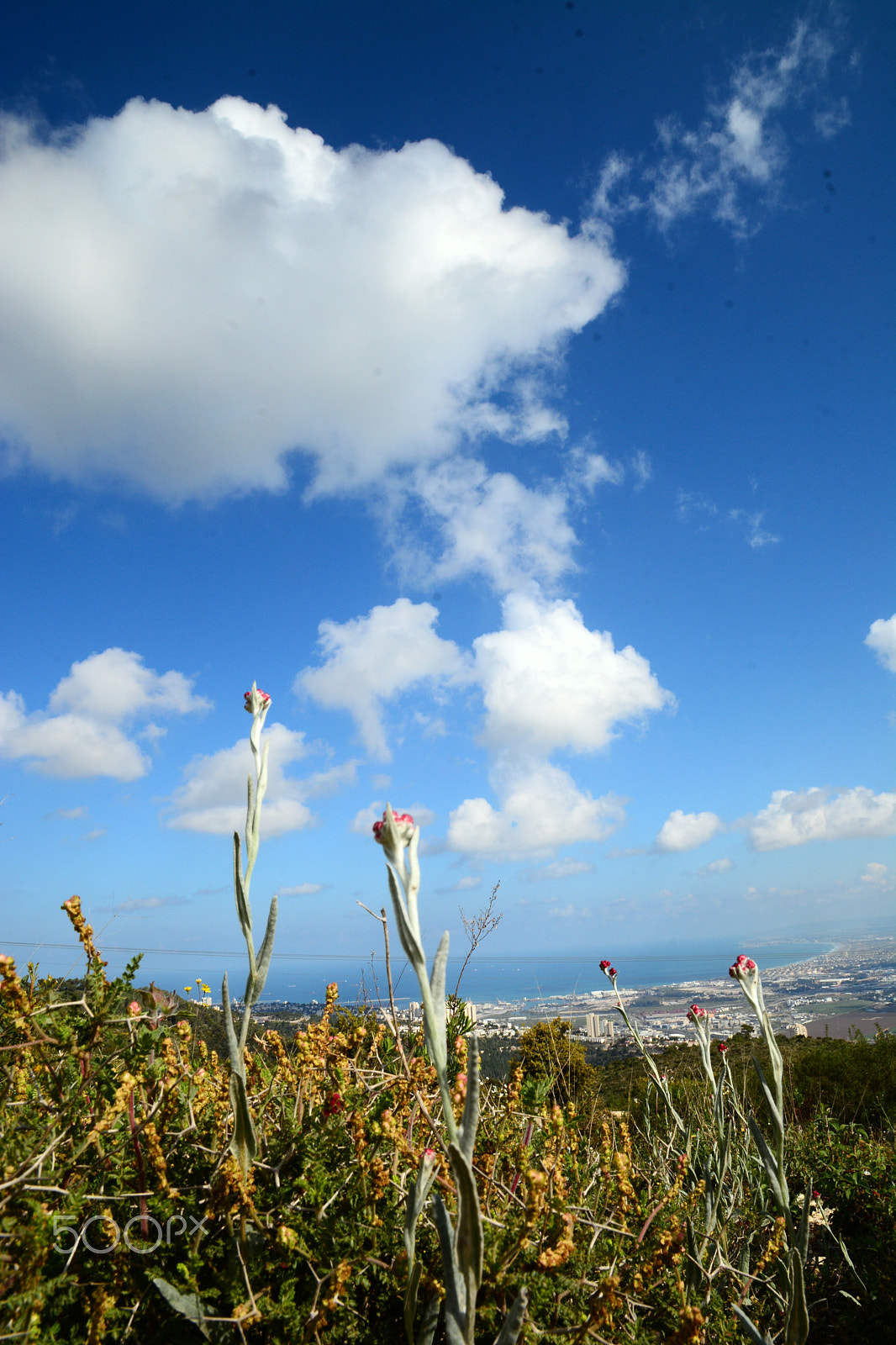 Nikon D7100 sample photo