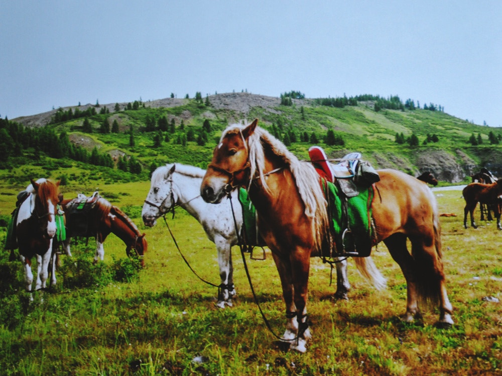 Nikon D3000 sample photo. Extremetravelfestival photography