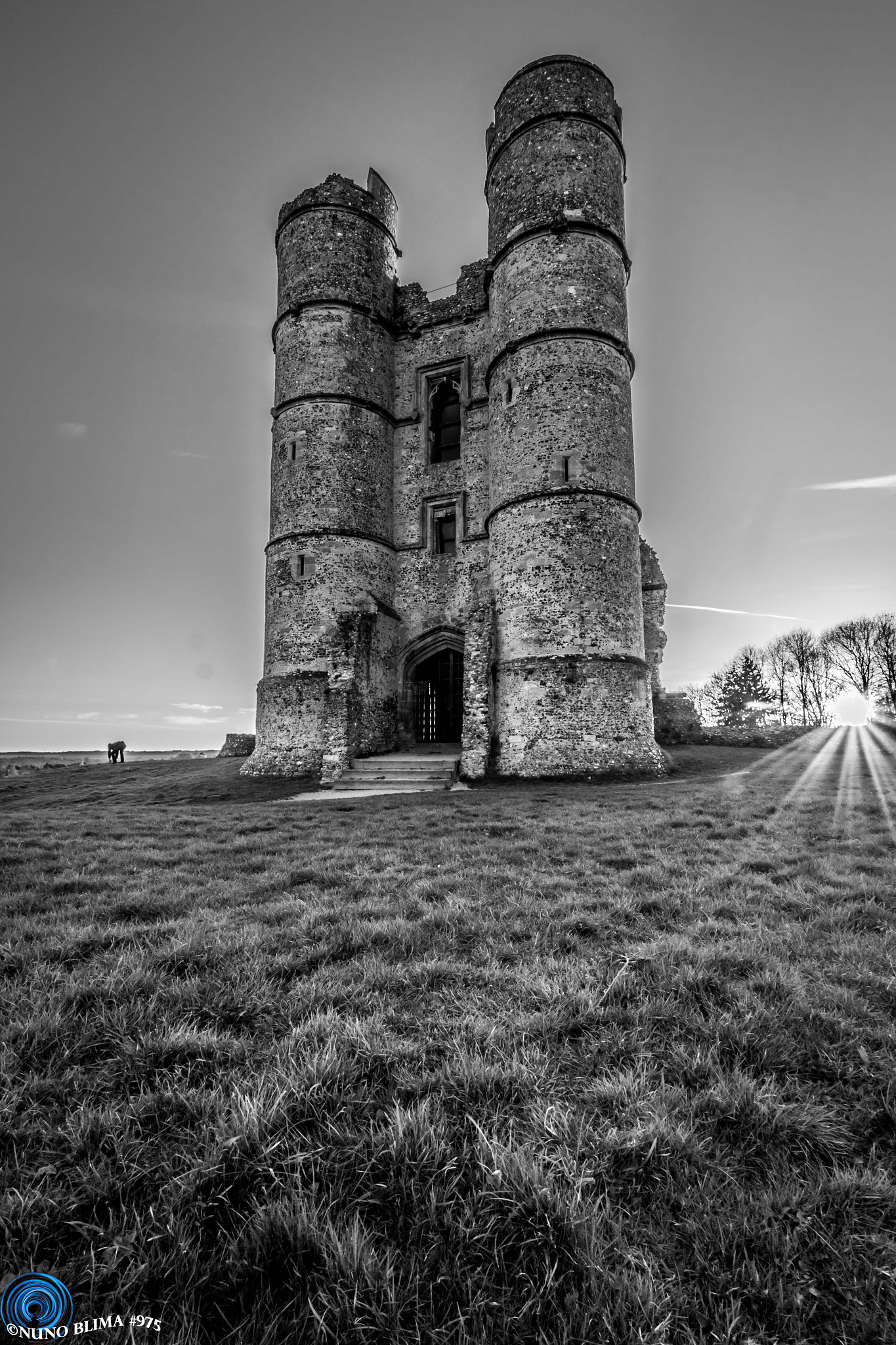 Canon EOS 7D Mark II sample photo. Donnington castle gate in black & white photography