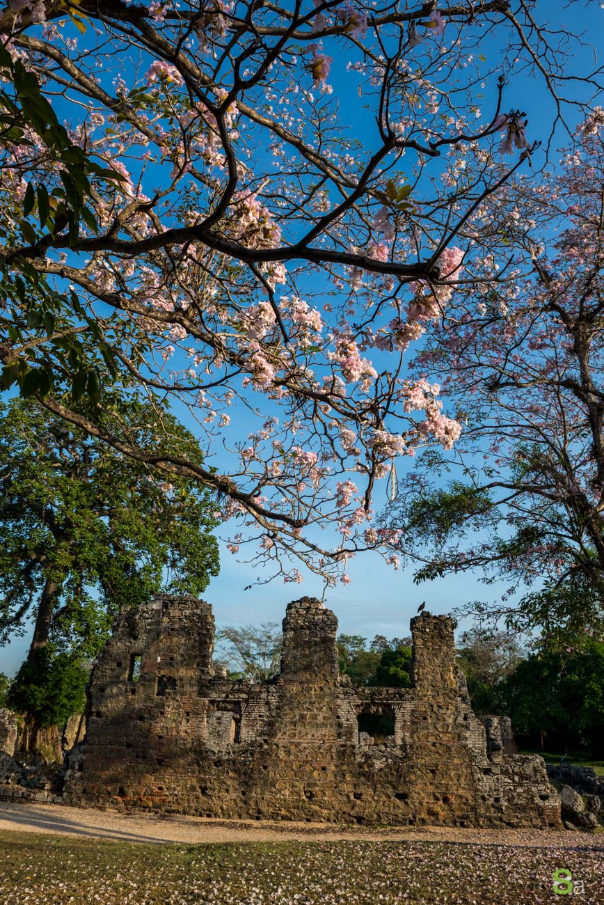 Nikon AF-S Nikkor 24-70mm F2.8G ED sample photo. Panama viejo photography