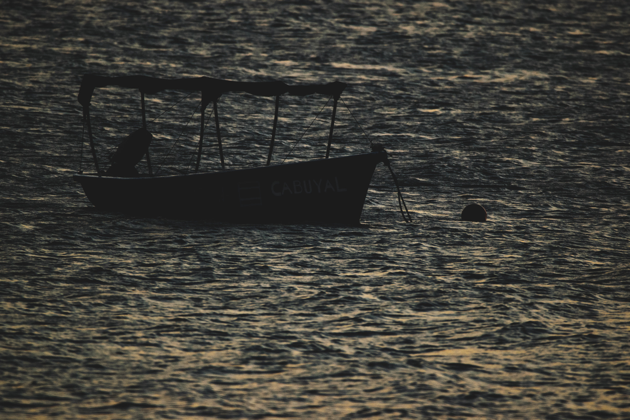 Nikon D3300 + Sigma 150-600mm F5-6.3 DG OS HSM | C sample photo. Boat photography