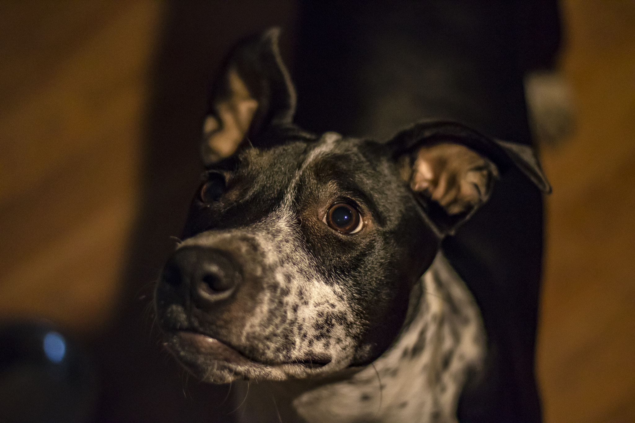Canon EOS 760D (EOS Rebel T6s / EOS 8000D) sample photo. Karma photography