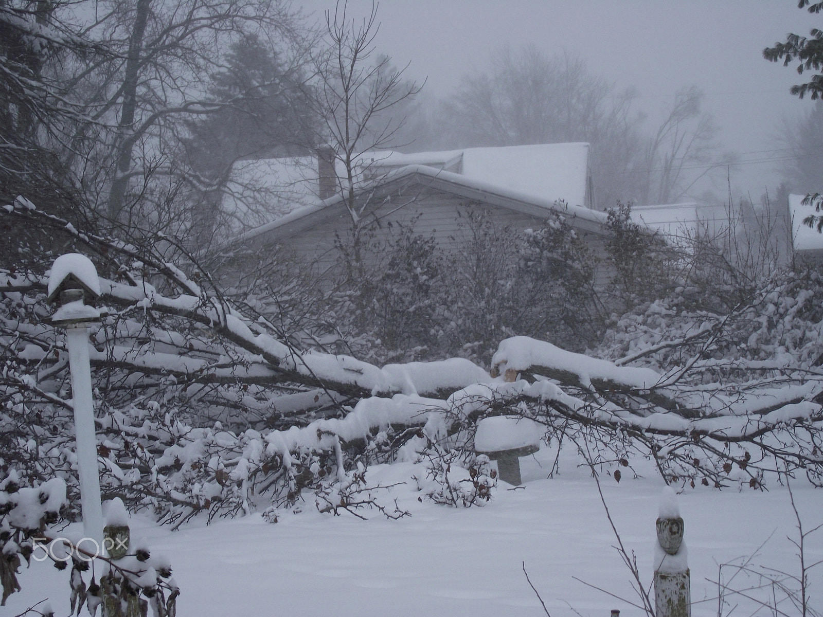 FujiFilm FinePix S1800 (FinePix S1880) sample photo. Winter's aftermath photography