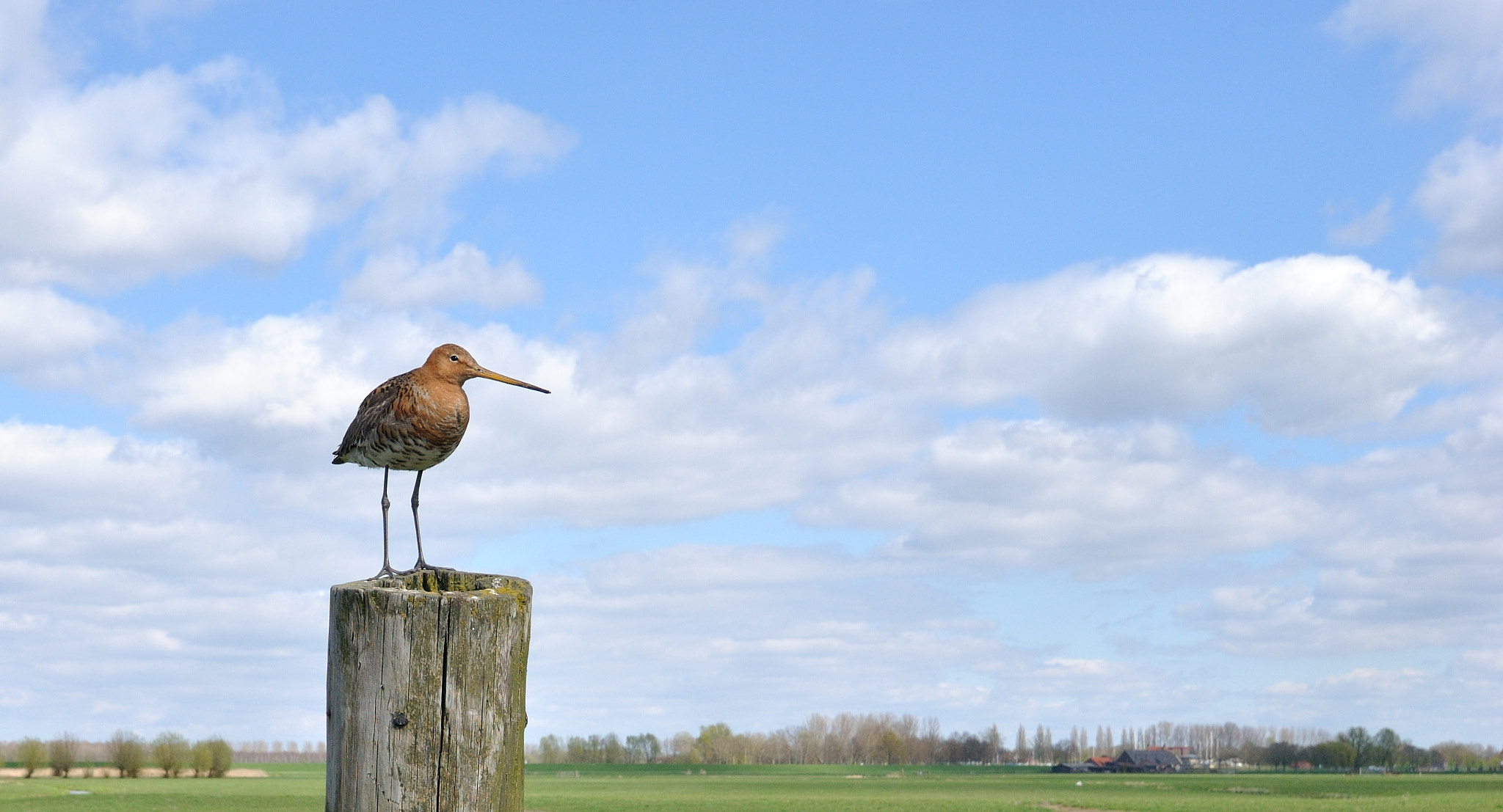 Nikon D3000 sample photo. Grutto photography