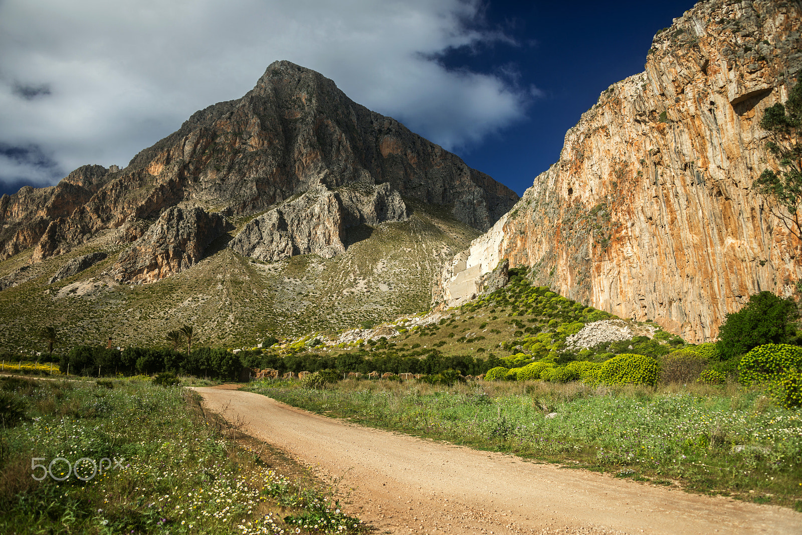 Nikon D800E sample photo. The road to mount cofano - trapani (sicily) photography