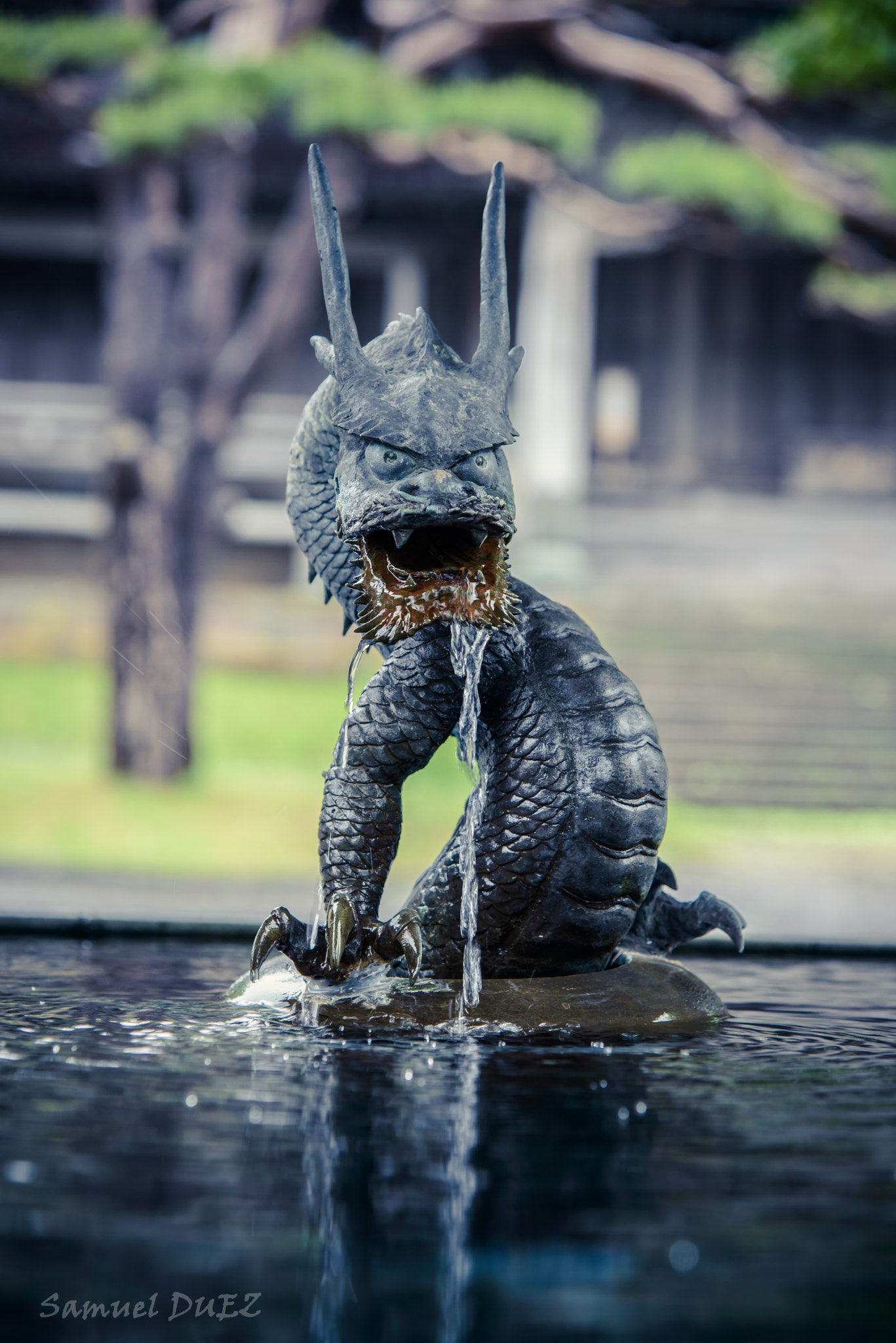 Nikon AF-S Nikkor 24-120mm F4G ED VR sample photo