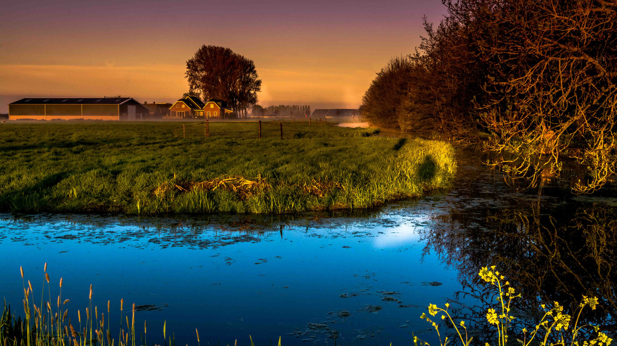 Nikon D7100 sample photo. Dutch farm yard photography