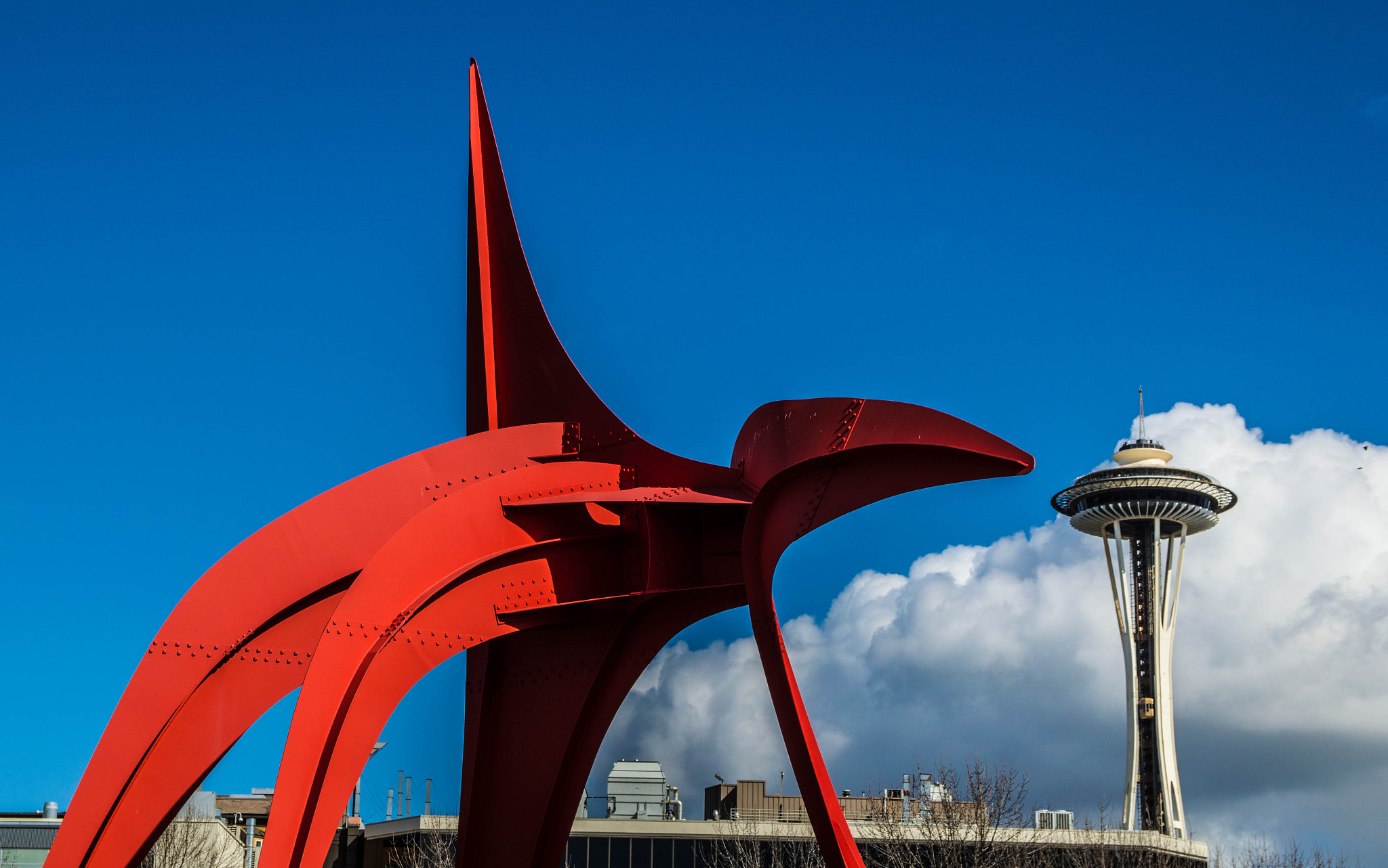 Sigma 17-50mm F2.8 EX DC OS HSM sample photo. Sculpture needle ii photography