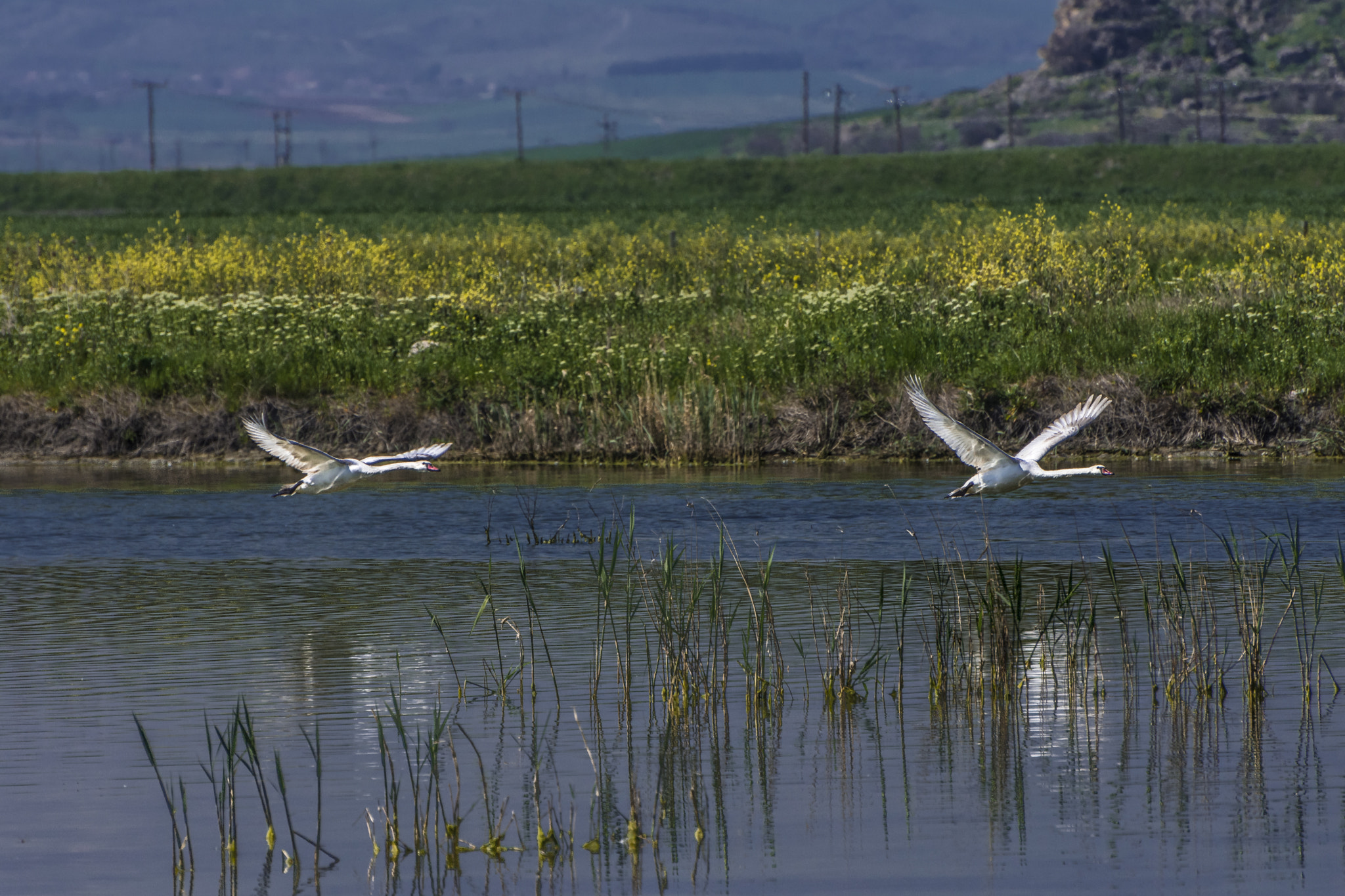 Nikon D7200 sample photo. Lake karla. spring 2017. photography