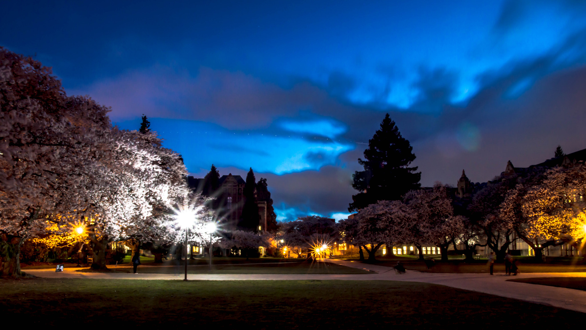 Sigma 17-50mm F2.8 EX DC OS HSM sample photo. Quad after dark photography