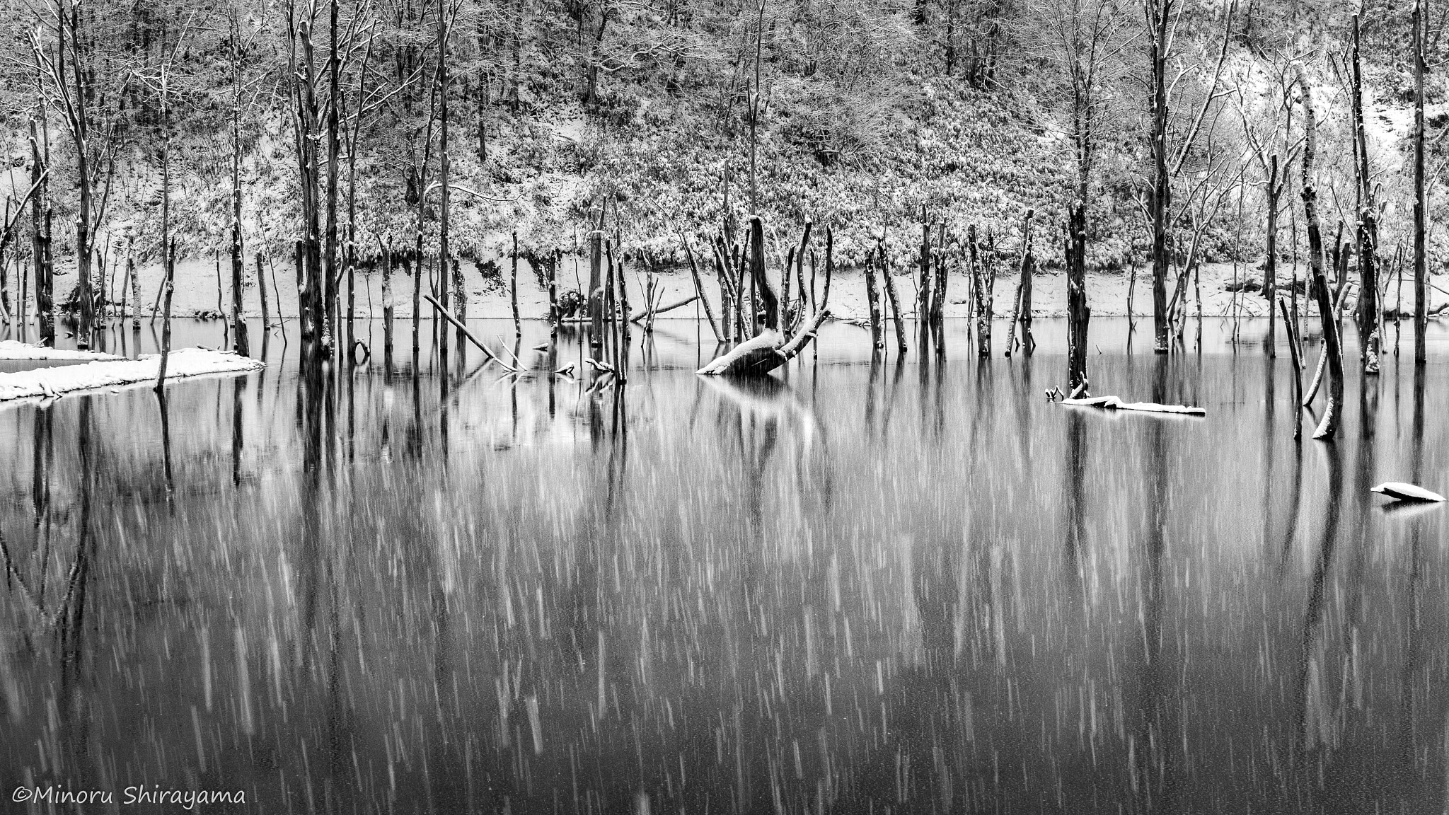 Canon EOS 700D (EOS Rebel T5i / EOS Kiss X7i) sample photo. Violent snow falling photography