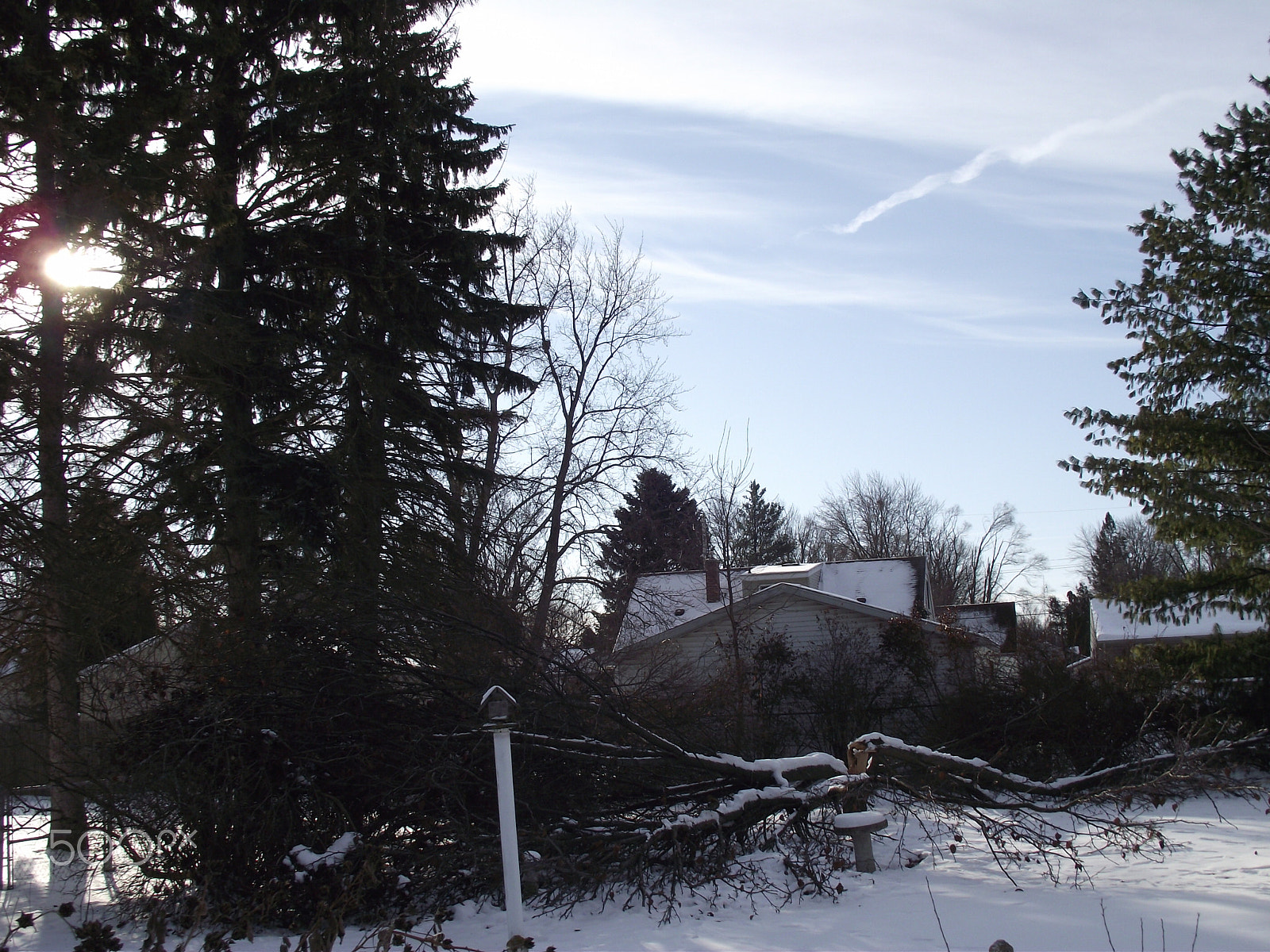 FujiFilm FinePix S1800 (FinePix S1880) sample photo. A new day after winter's carnage. photography