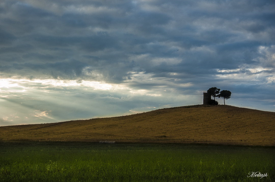 Nikon D50 sample photo. Blu yellow and green photography