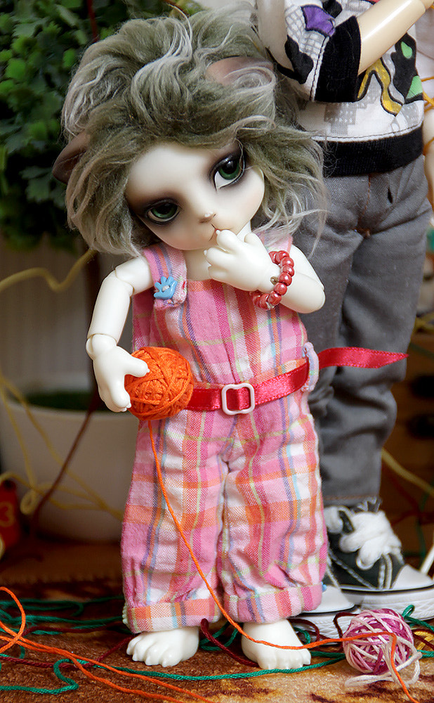 Canon EOS 500D (EOS Rebel T1i / EOS Kiss X3) sample photo. "finish badly..." (3) photography