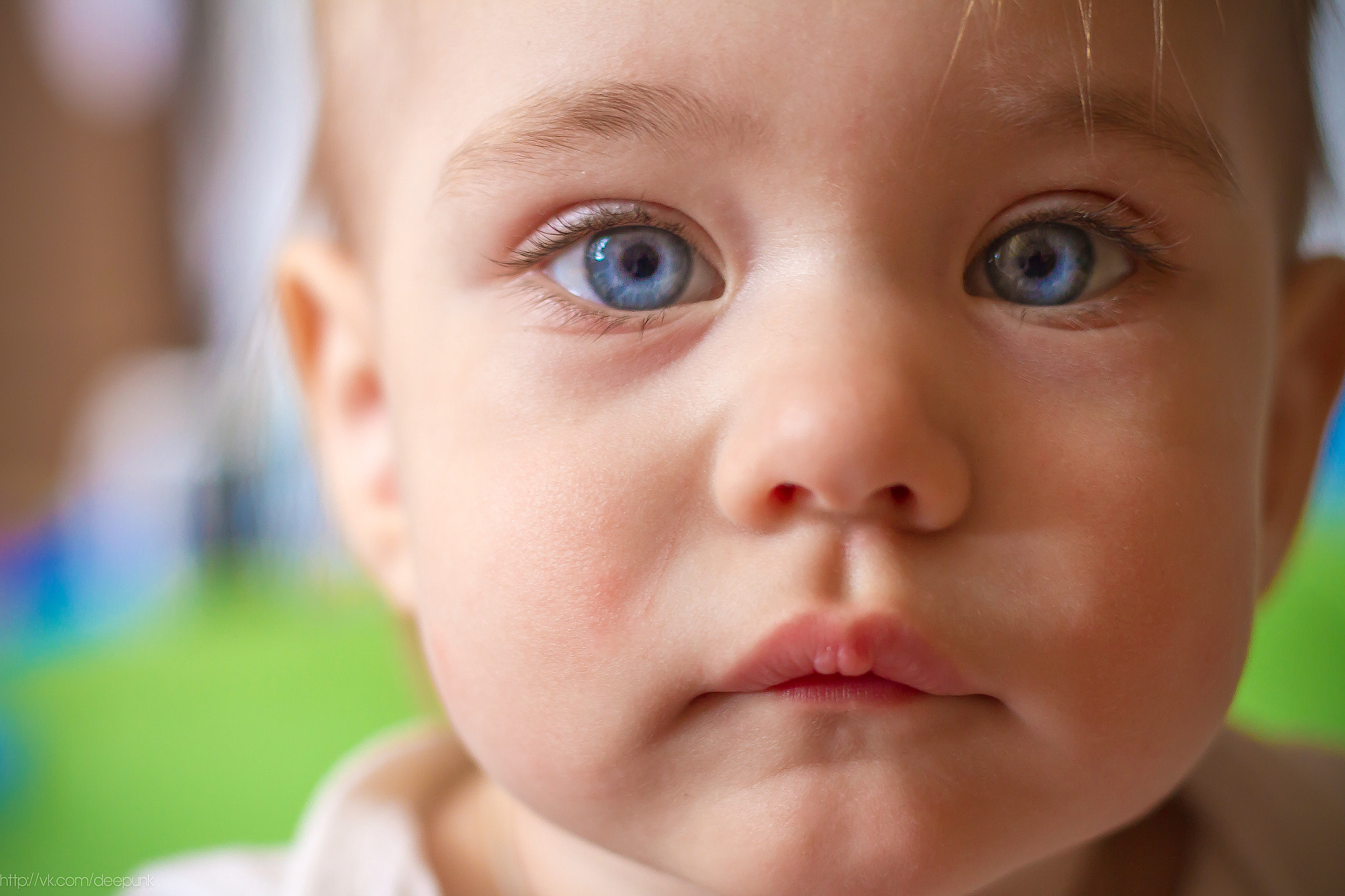 Canon EOS 7D + Canon EF 50mm F1.8 STM sample photo
