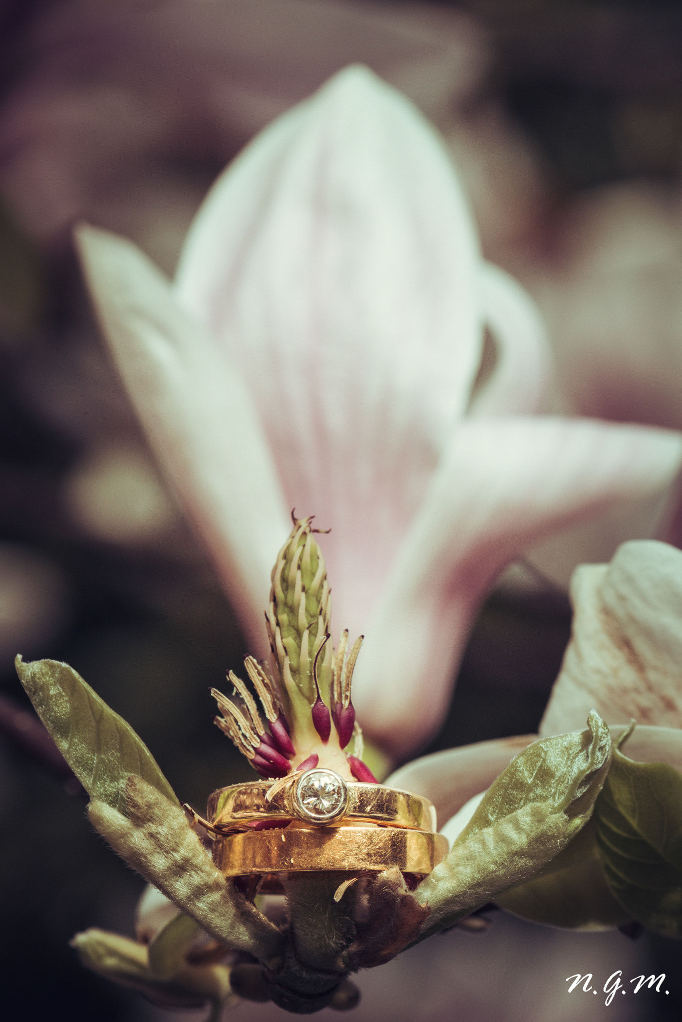 Nikon AF-S DX Micro-Nikkor 85mm F3.5G ED VR sample photo. 50 jahre ehe-dschungel photography