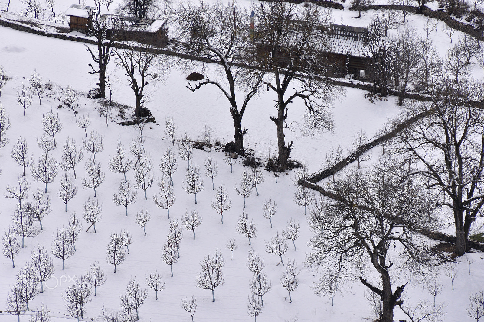 Nikon D7200 sample photo. ..... snow farming .......... photography