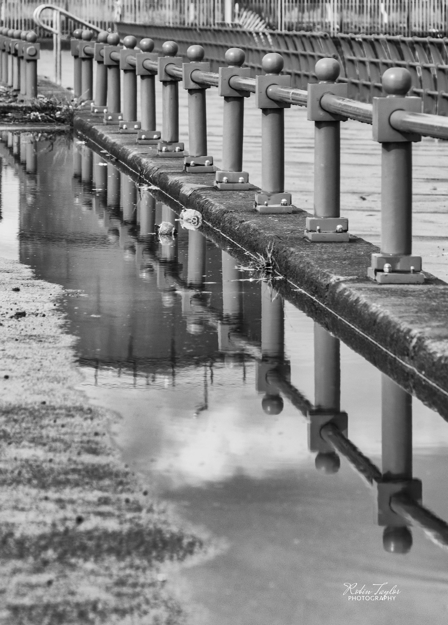 Pentax K-S1 sample photo. Rainwater reflections photography
