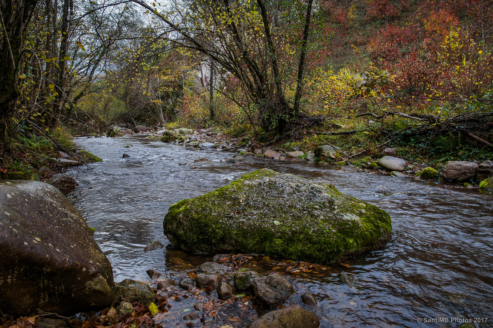 Sony Alpha DSLR-A580 sample photo. A su suerte photography