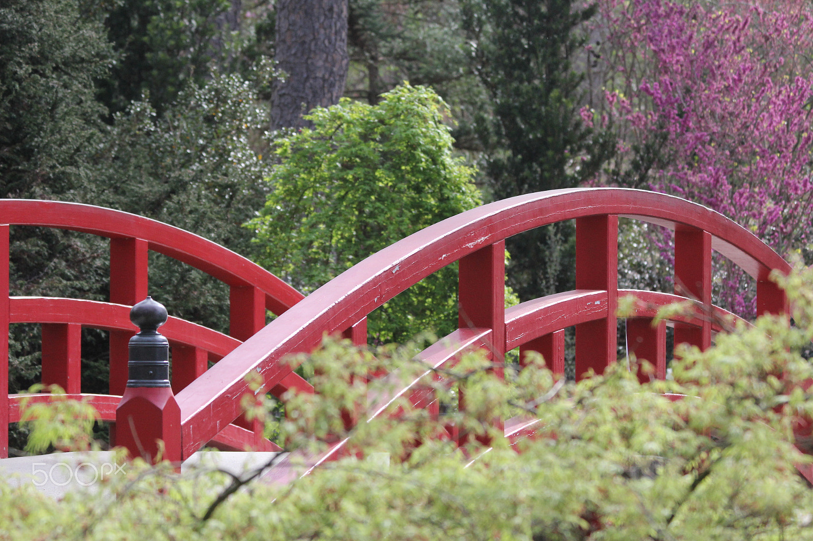 Canon EF 70-300mm F4-5.6 IS USM sample photo. Journey of thoughts photography