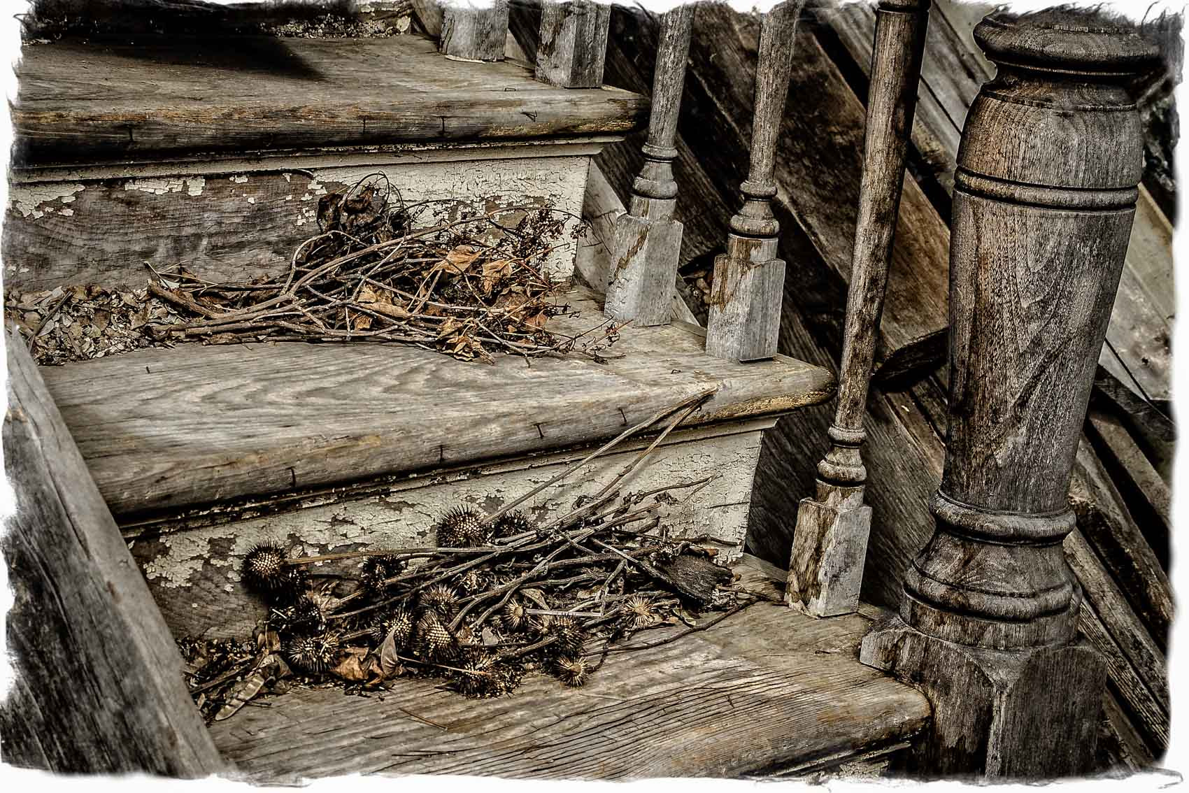 Sony Alpha DSLR-A500 sample photo. Dead flowers on the steps photography