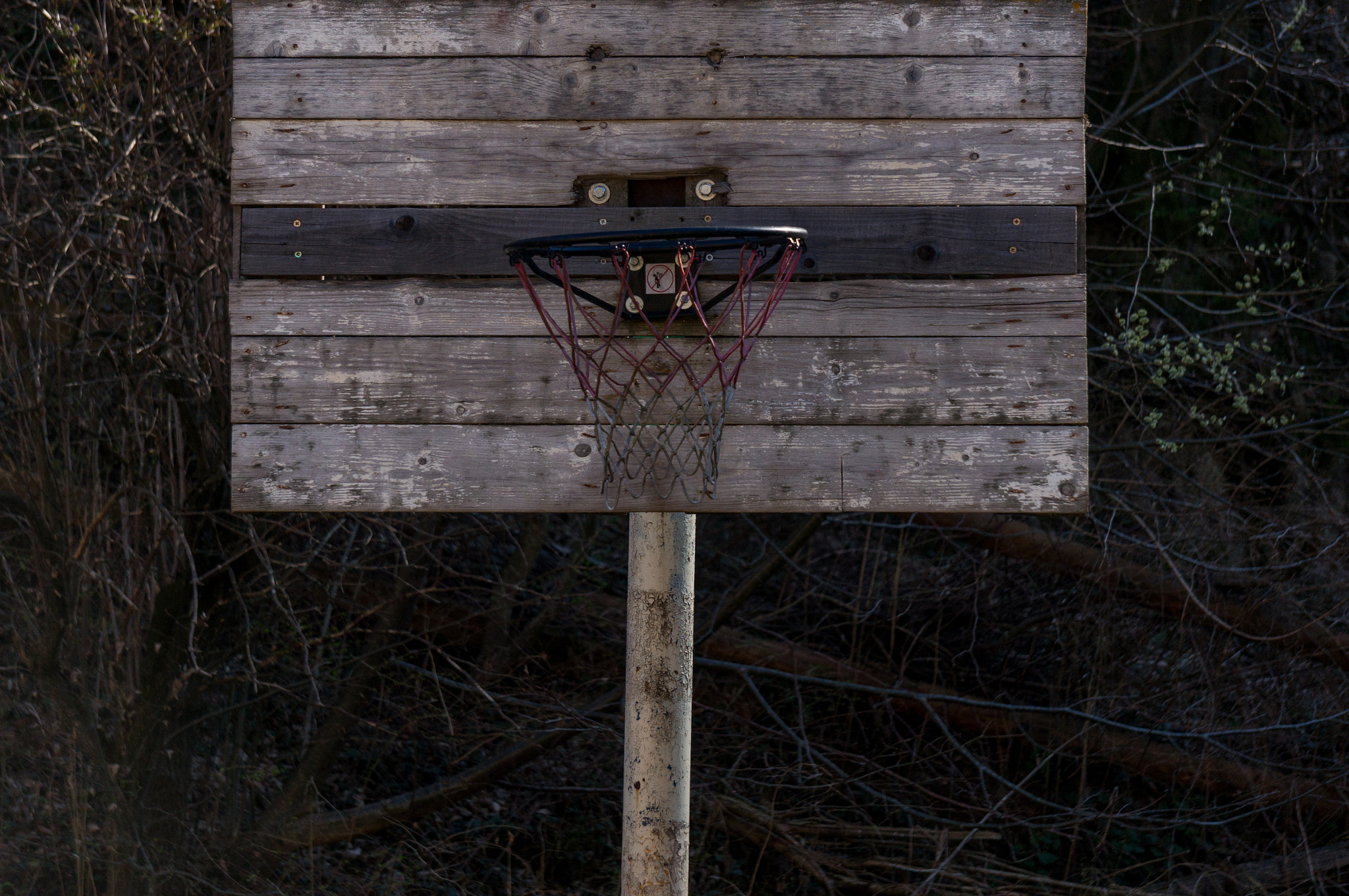 Sony Alpha NEX-5T sample photo. Old hoop photography