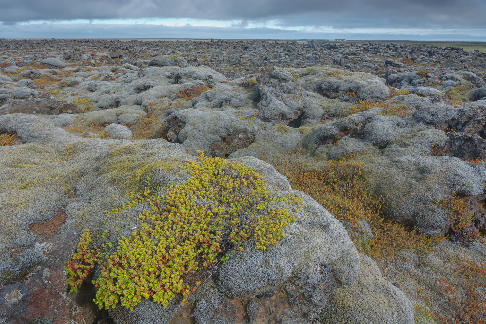 Nikon AF-S Nikkor 14-24mm F2.8G ED sample photo. Lavafield photography