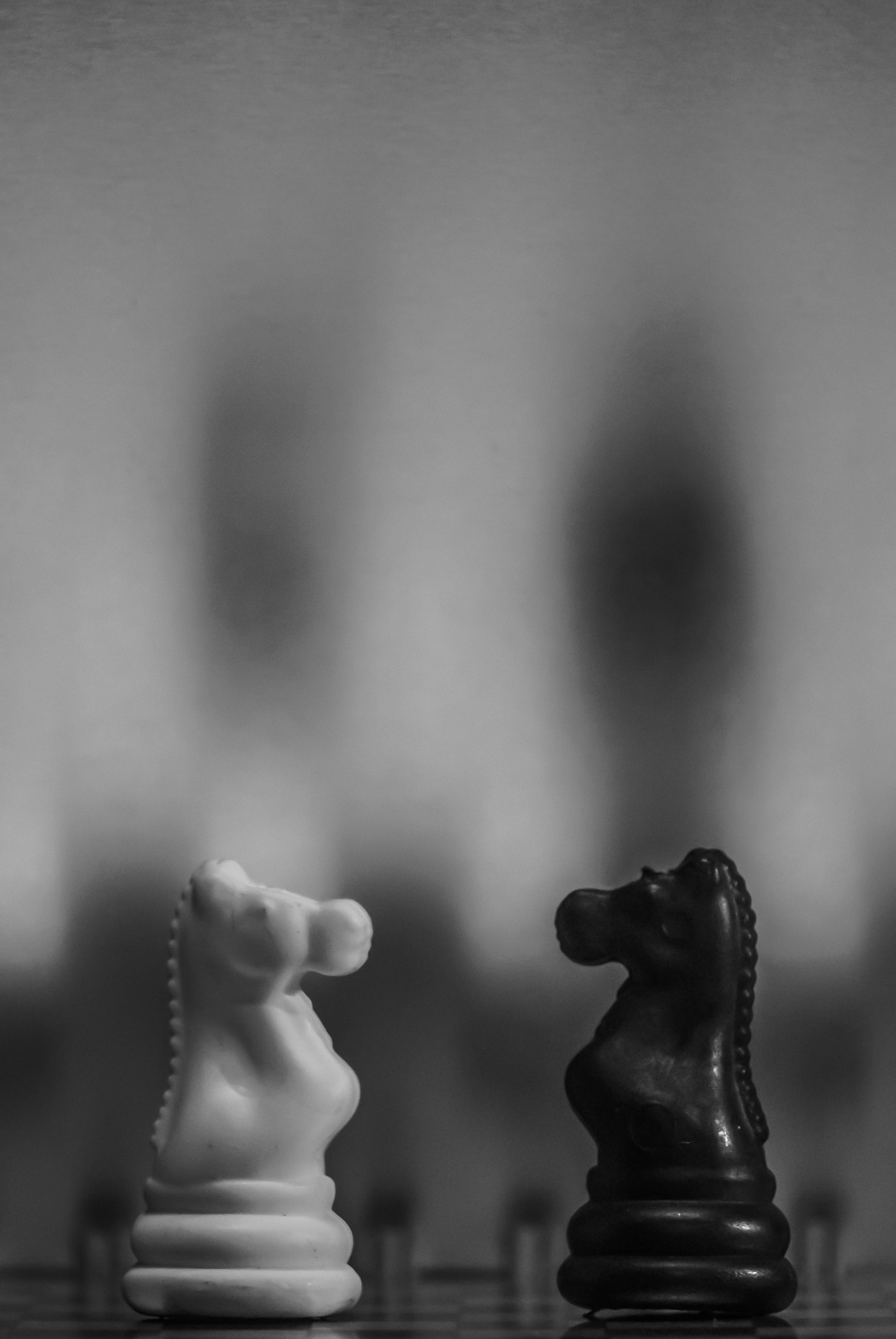 Nikon 1 V1 sample photo. Opposites photography