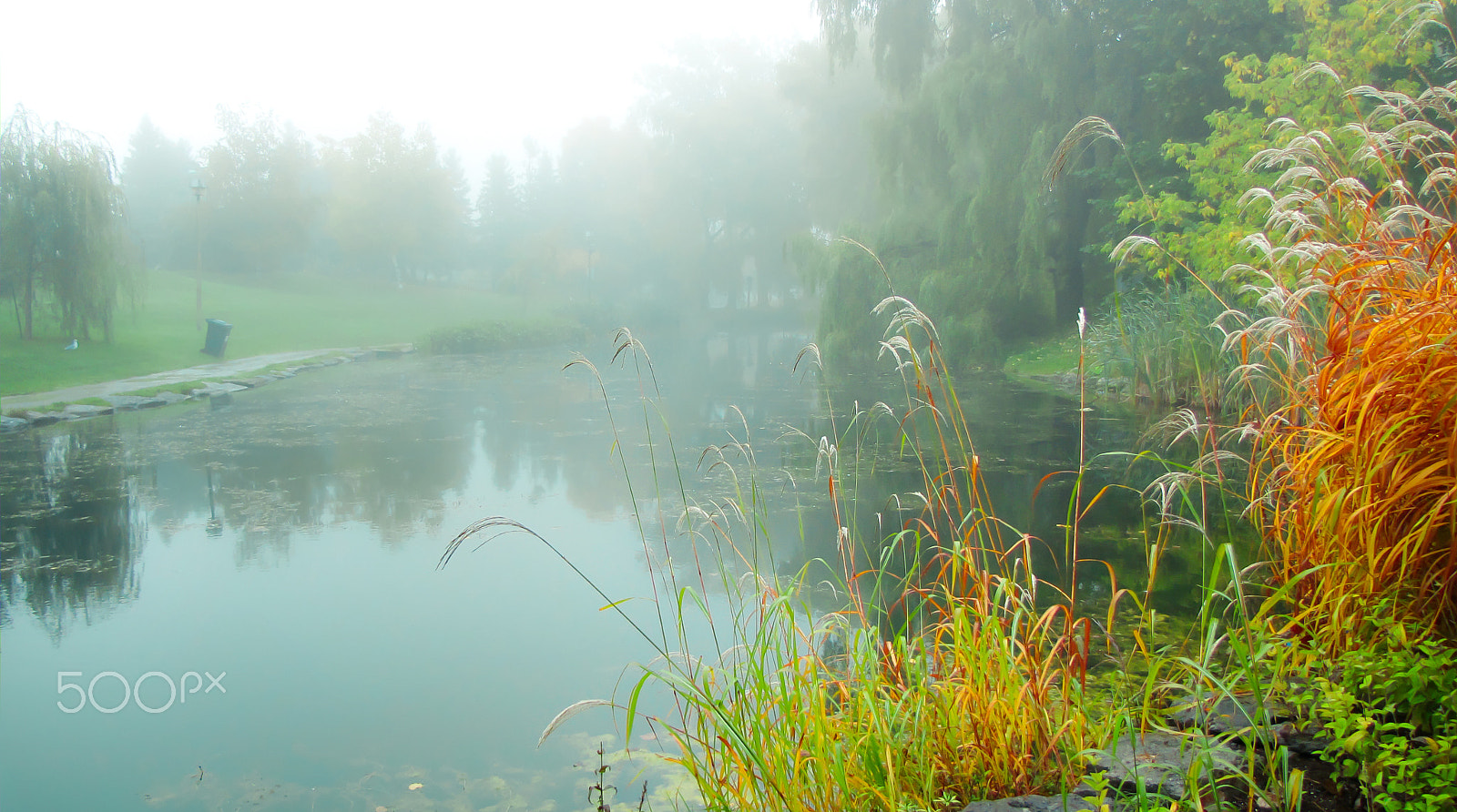 Canon PowerShot SX1 IS sample photo. One foggy morning photography