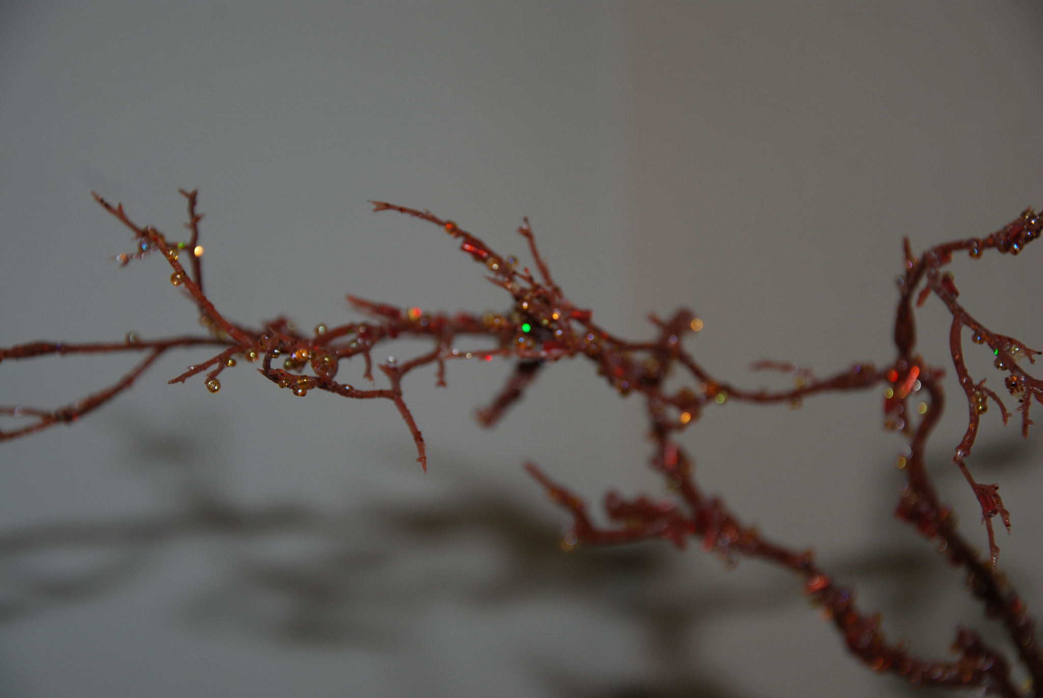 Nikon D80 sample photo