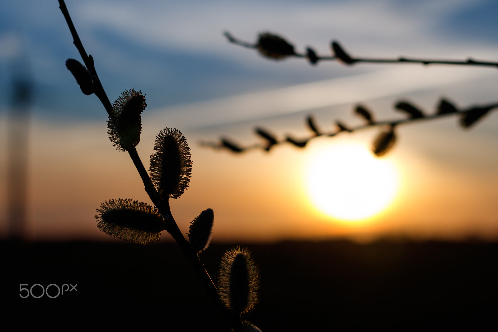 Canon EOS 760D (EOS Rebel T6s / EOS 8000D) + Canon EF 50mm F1.8 STM sample photo. Sunset in spring photography