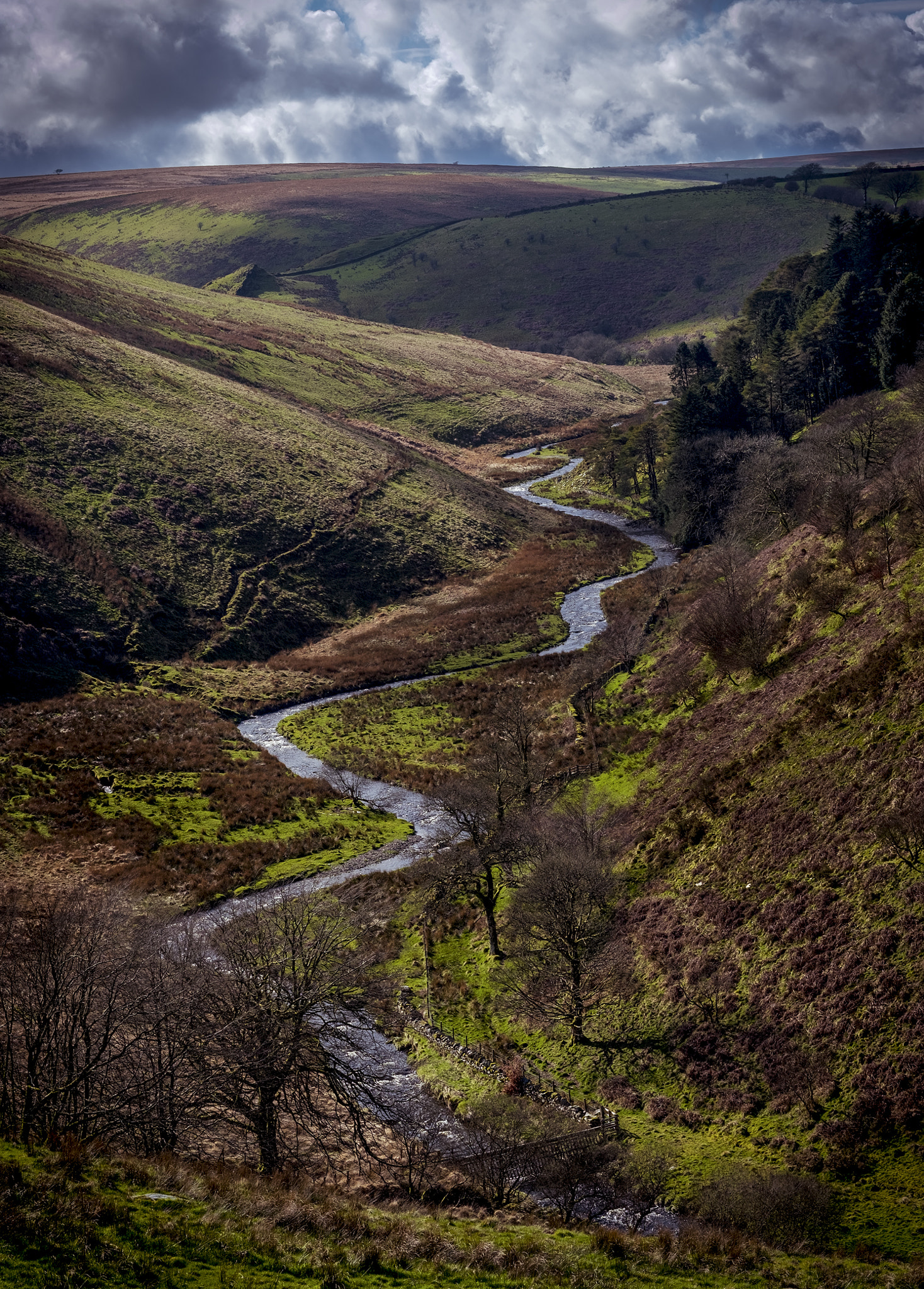 Fujifilm X-T2 sample photo. Exmoor photography