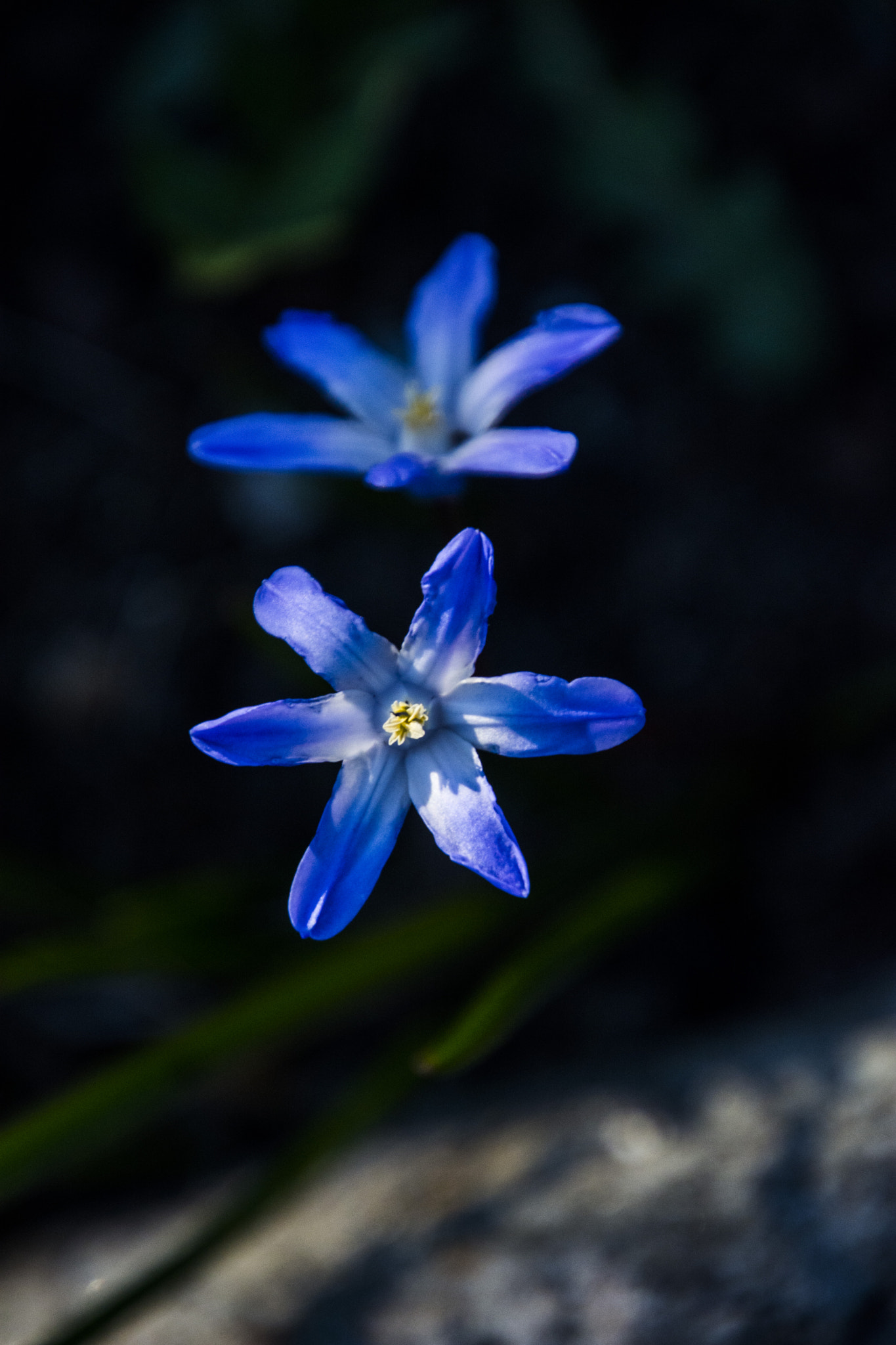 Nikon D7100 sample photo. Two in dark photography