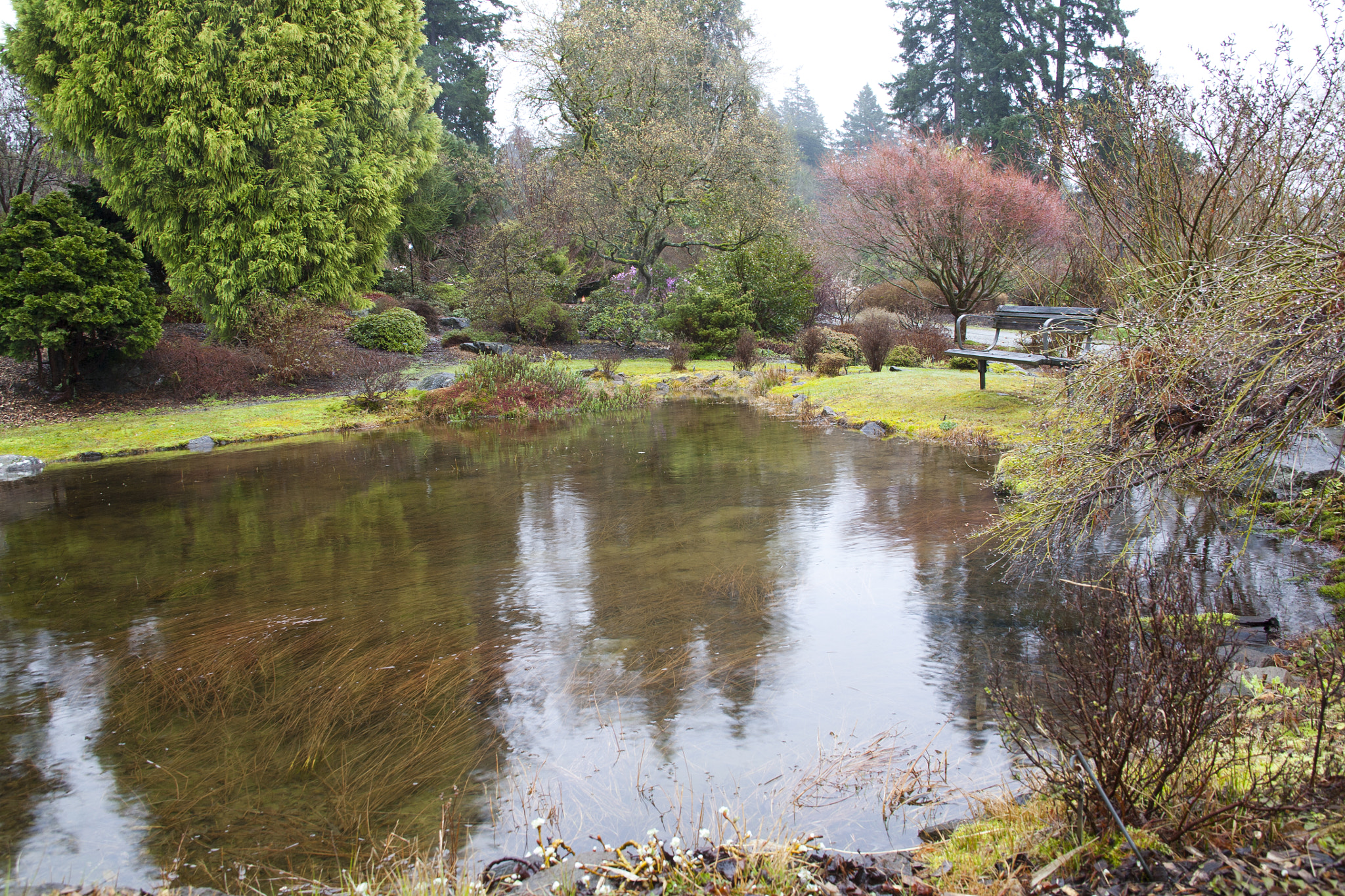 Canon EOS 5D sample photo. Pond photography