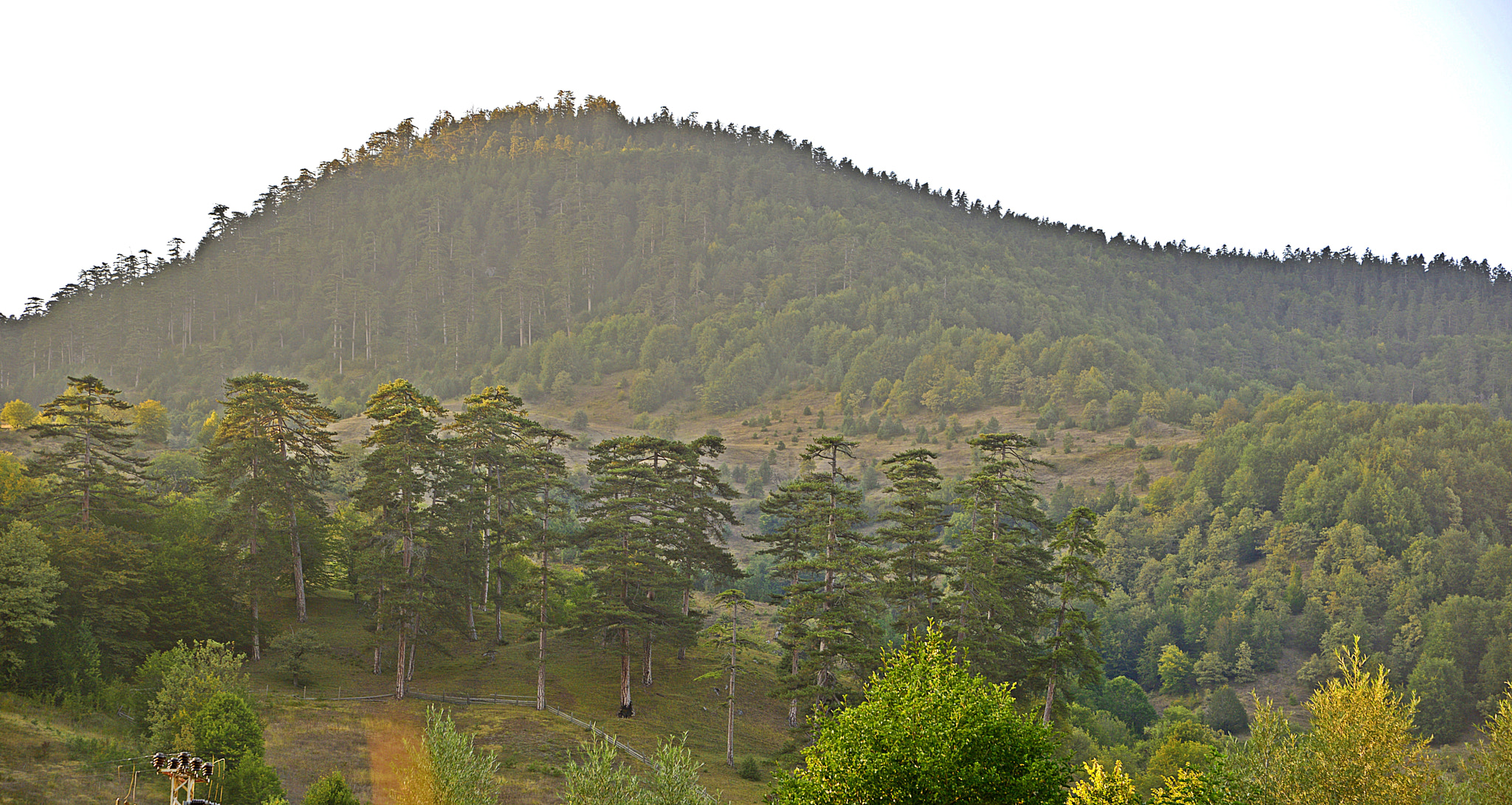 Nikon D800 sample photo. Mengen-bolu photography