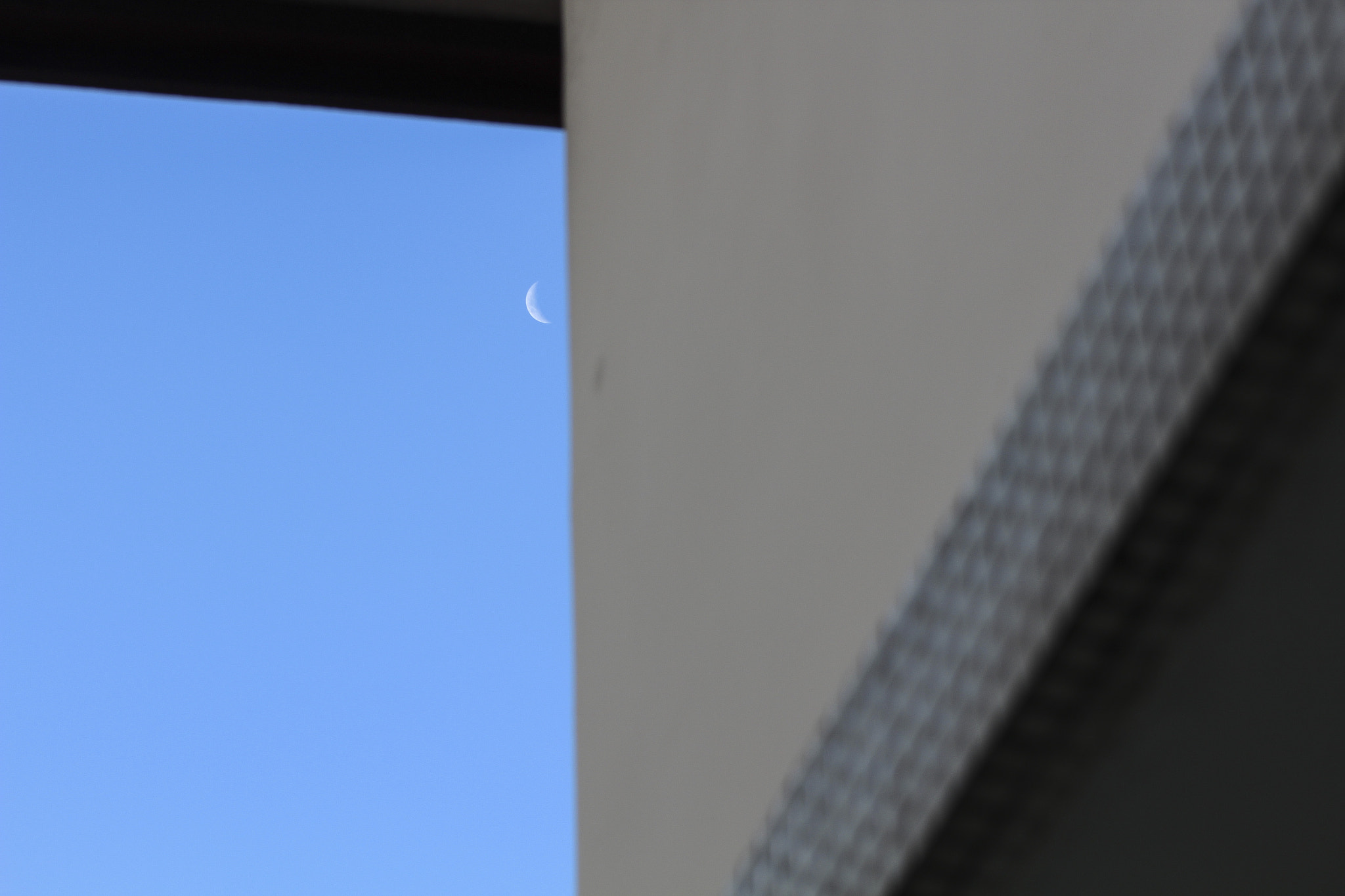 Canon EF 75-300mm f/4-5.6 USM sample photo