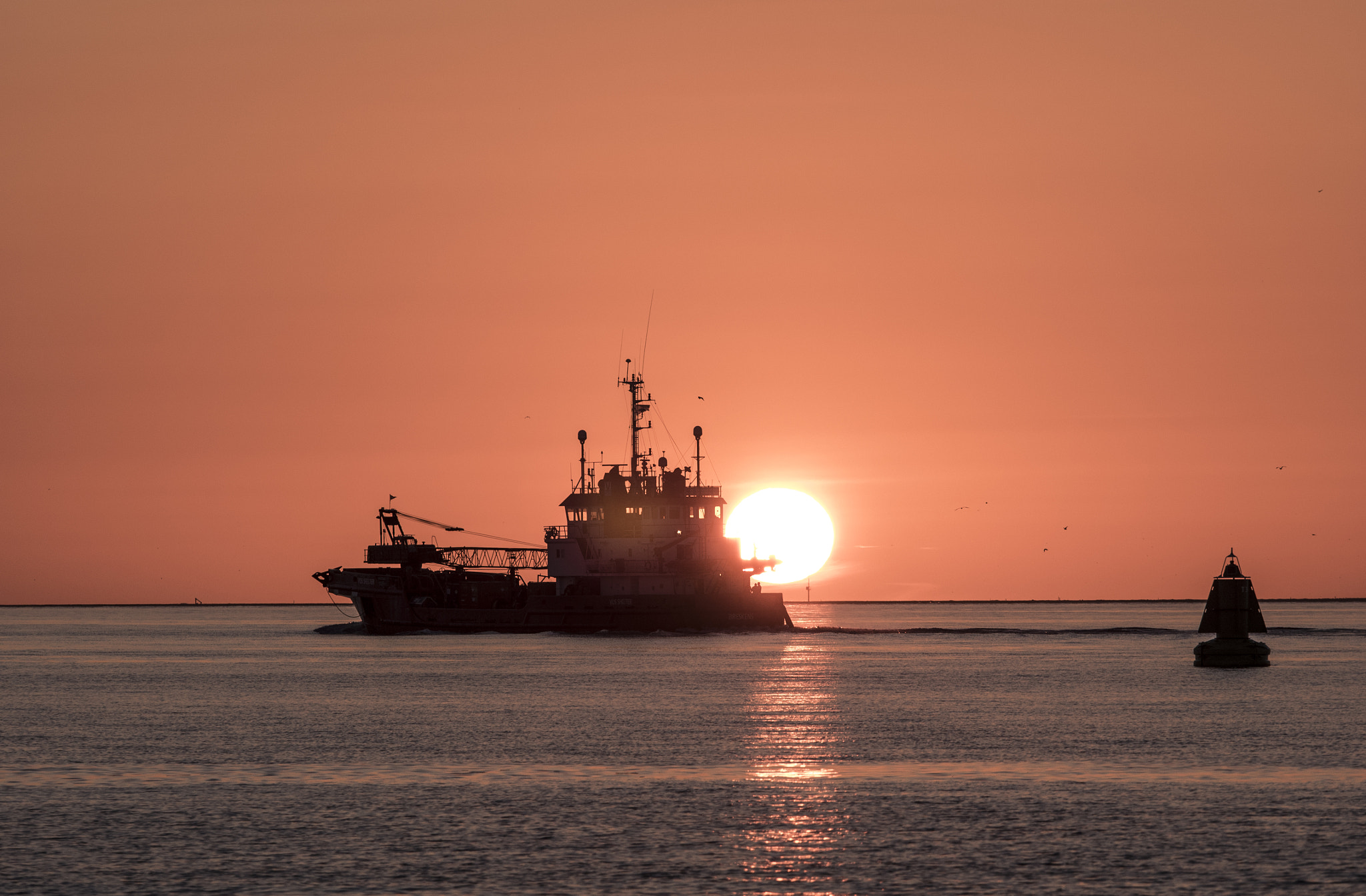 Olympus OM-D E-M1 + Olympus M.Zuiko Digital ED 40-150mm F2.8 Pro sample photo. Marsdiep den helder photography