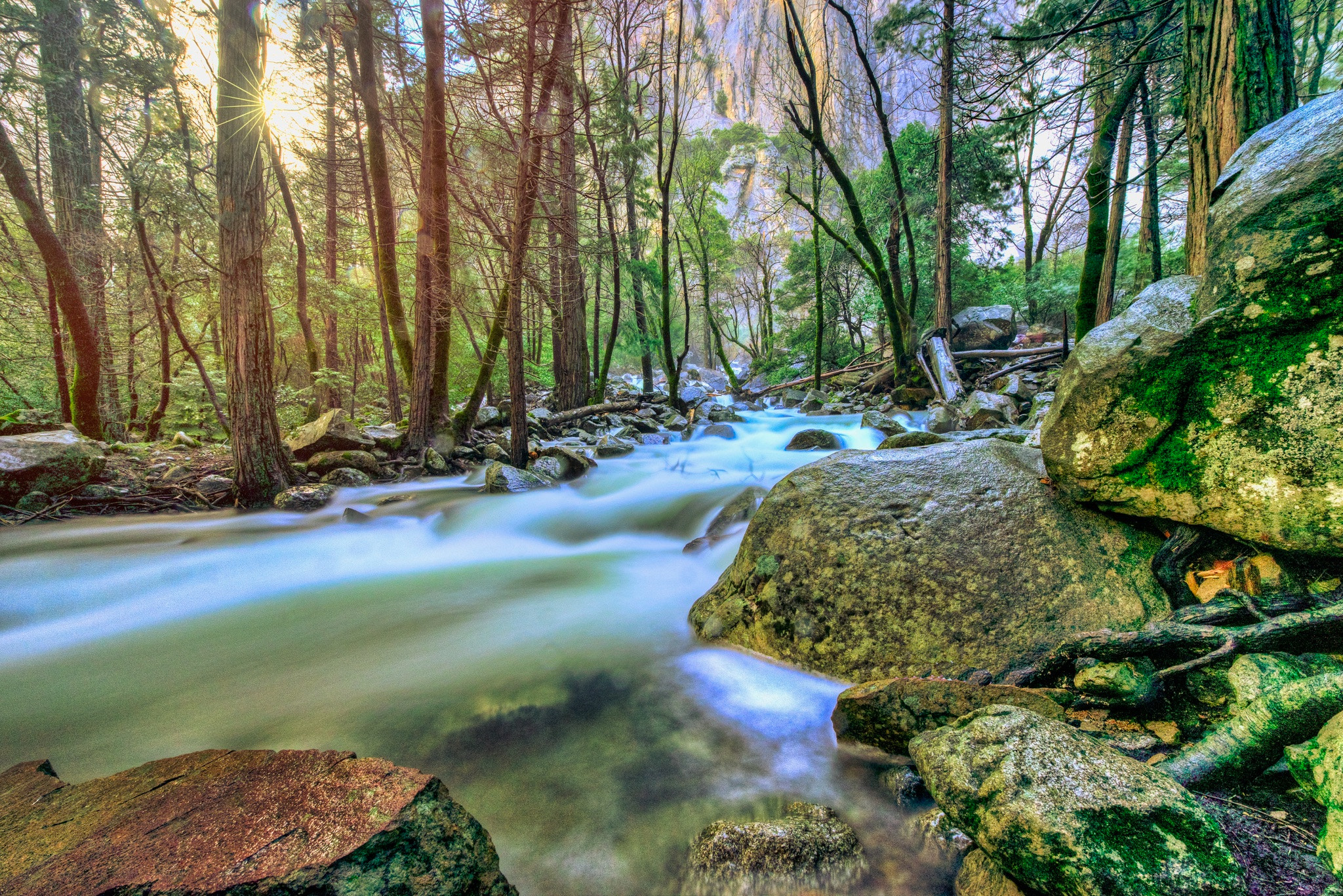 Nikon AF-S Nikkor 14-24mm F2.8G ED sample photo. Nature at it's finest photography