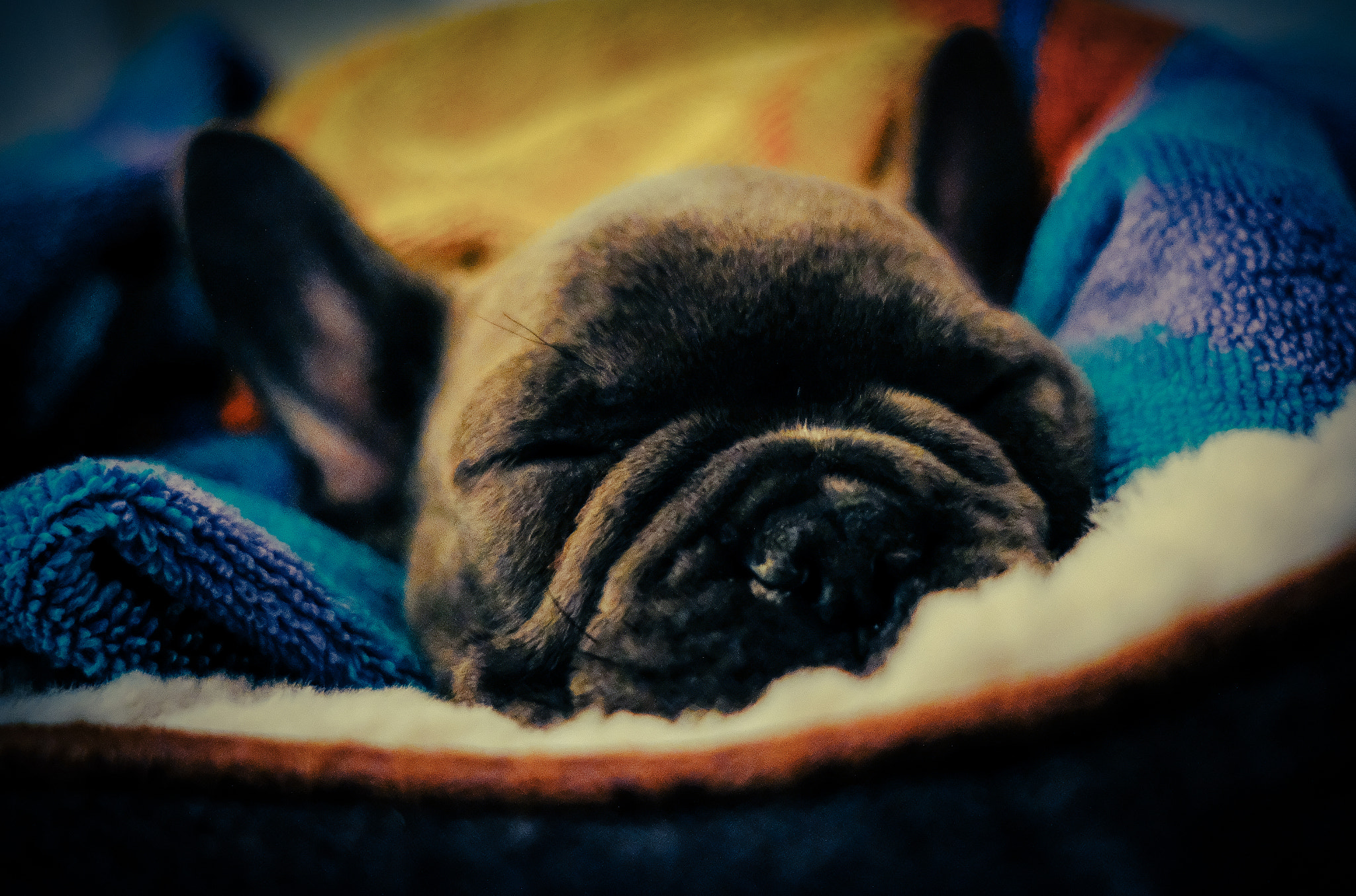 Fujifilm X-T2 + Fujifilm XF 23mm F2 R WR sample photo. Sleeping beauty photography