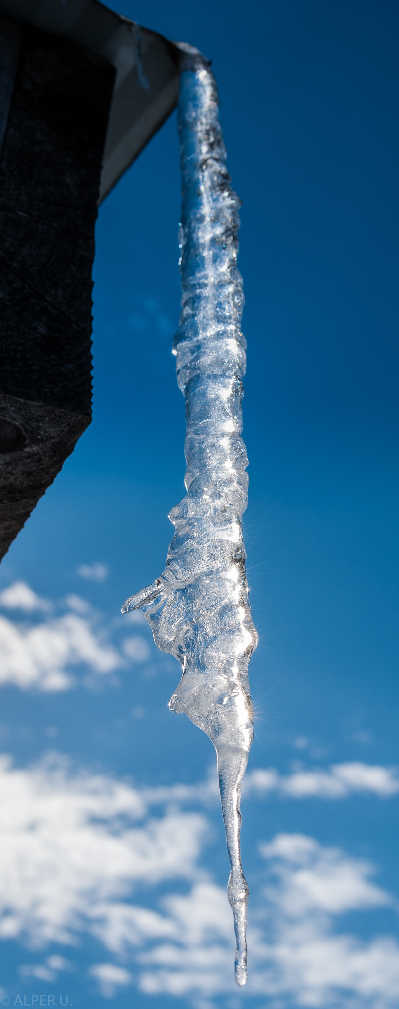 Nikon D80 sample photo. Shocked face on an icicle photography