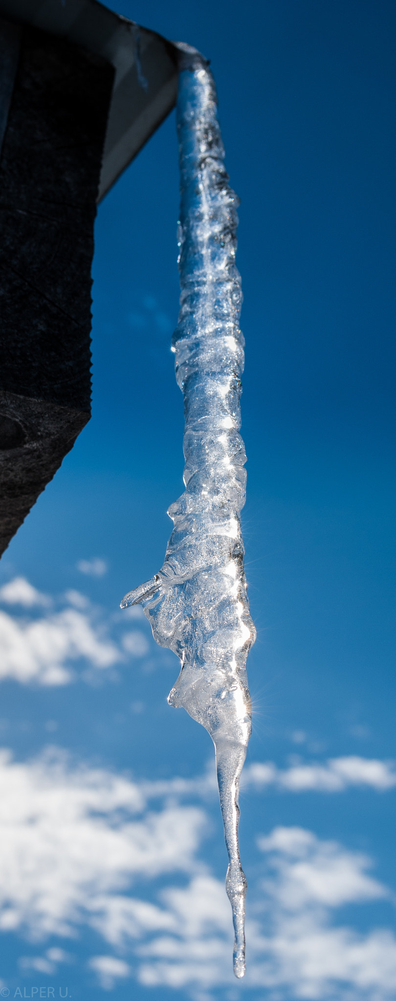 Nikon D80 + AF Zoom-Nikkor 28-70mm f/3.5-4.5D sample photo. Shocked face on an icicle photography