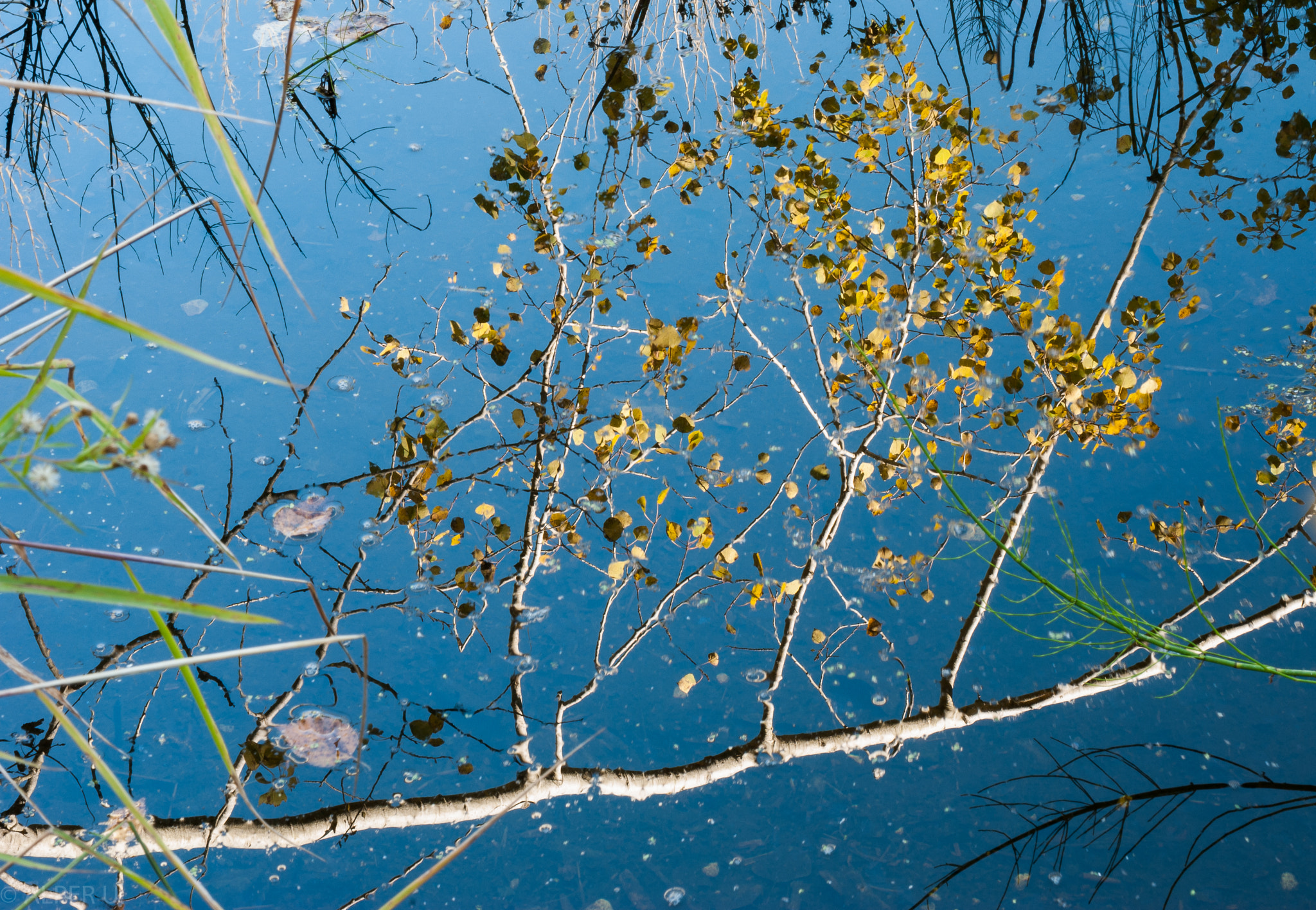 Nikon D80 sample photo. Mirror lake photography