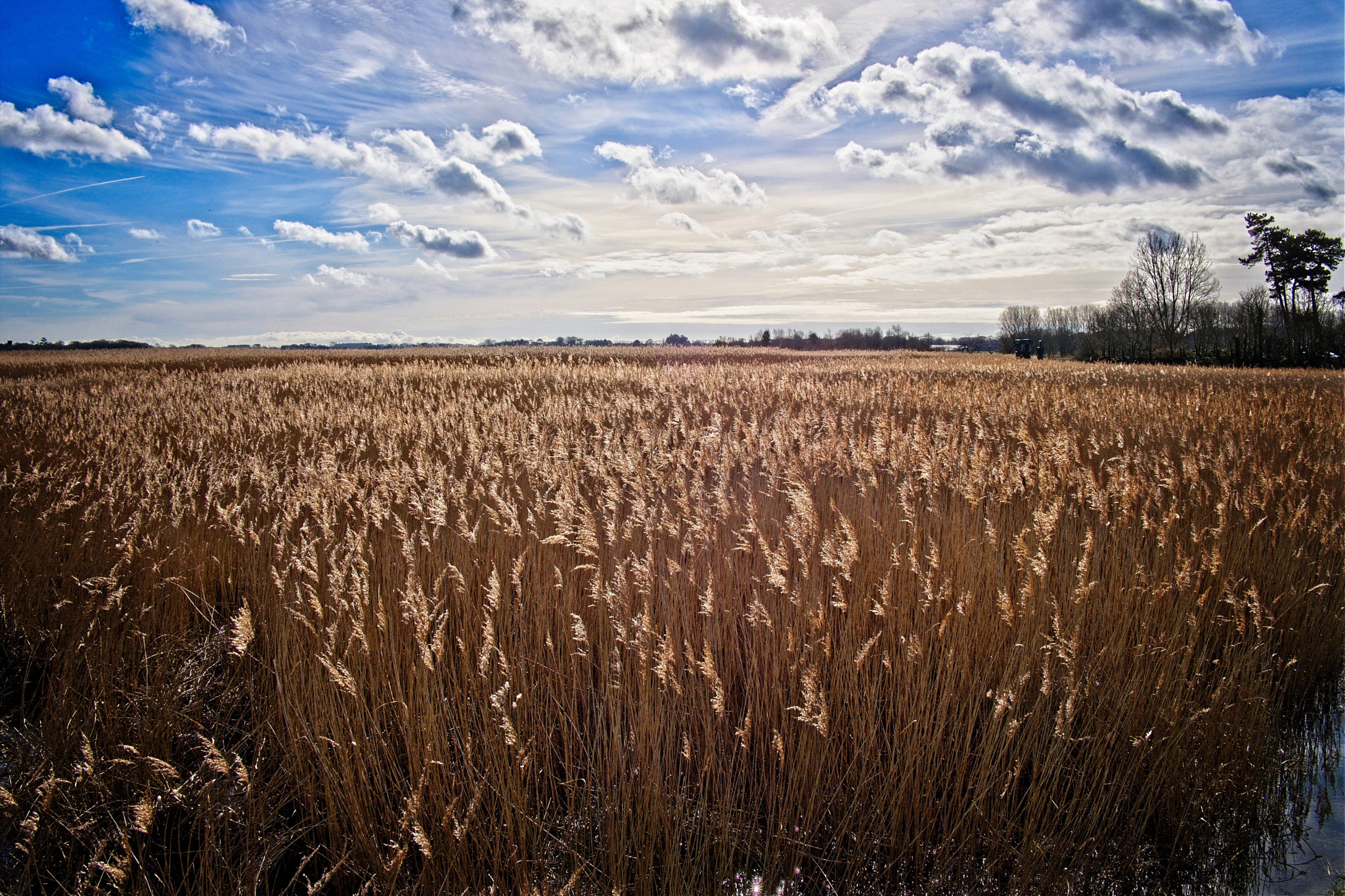 Fujifilm X-T2 sample photo. The marshes at snape maltings in suffolk, england. march 2017 photography