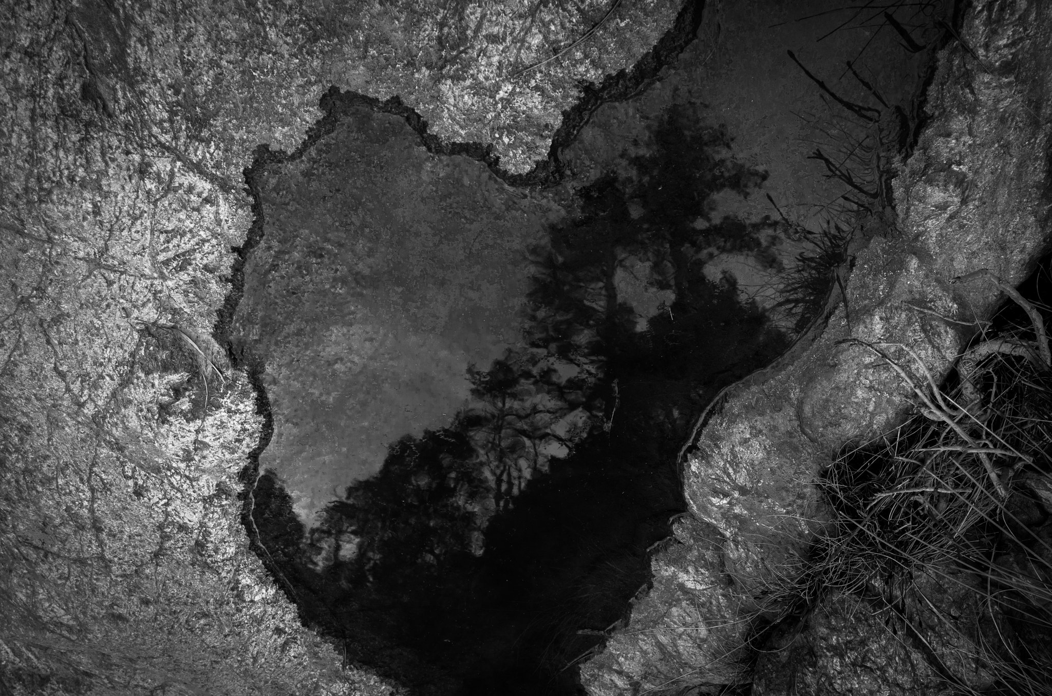 smc PENTAX-DA L 18-55mm F3.5-5.6 sample photo. The forest into the puddle photography